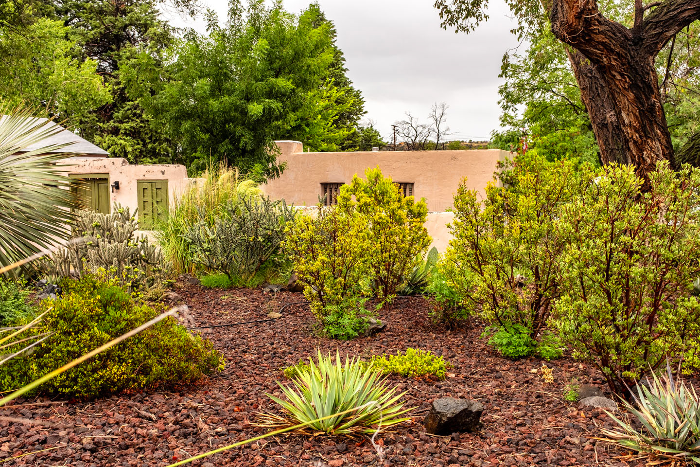 January 11, 2026 - Untitled #239