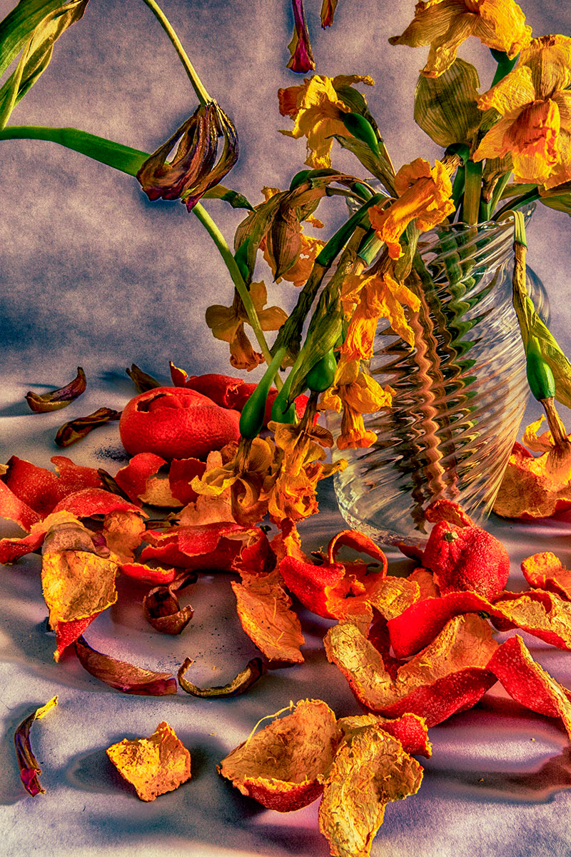 Sill lifeless 2, 2021