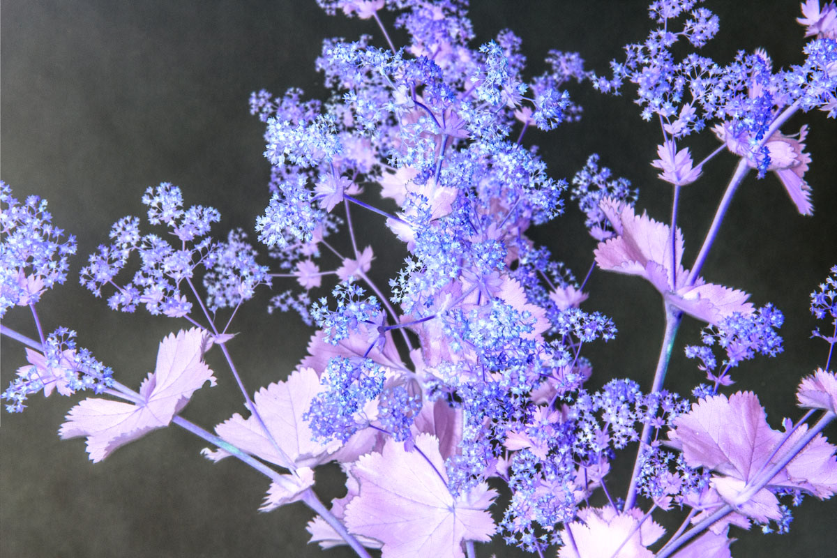 September 14 -Untitled Inverse #33