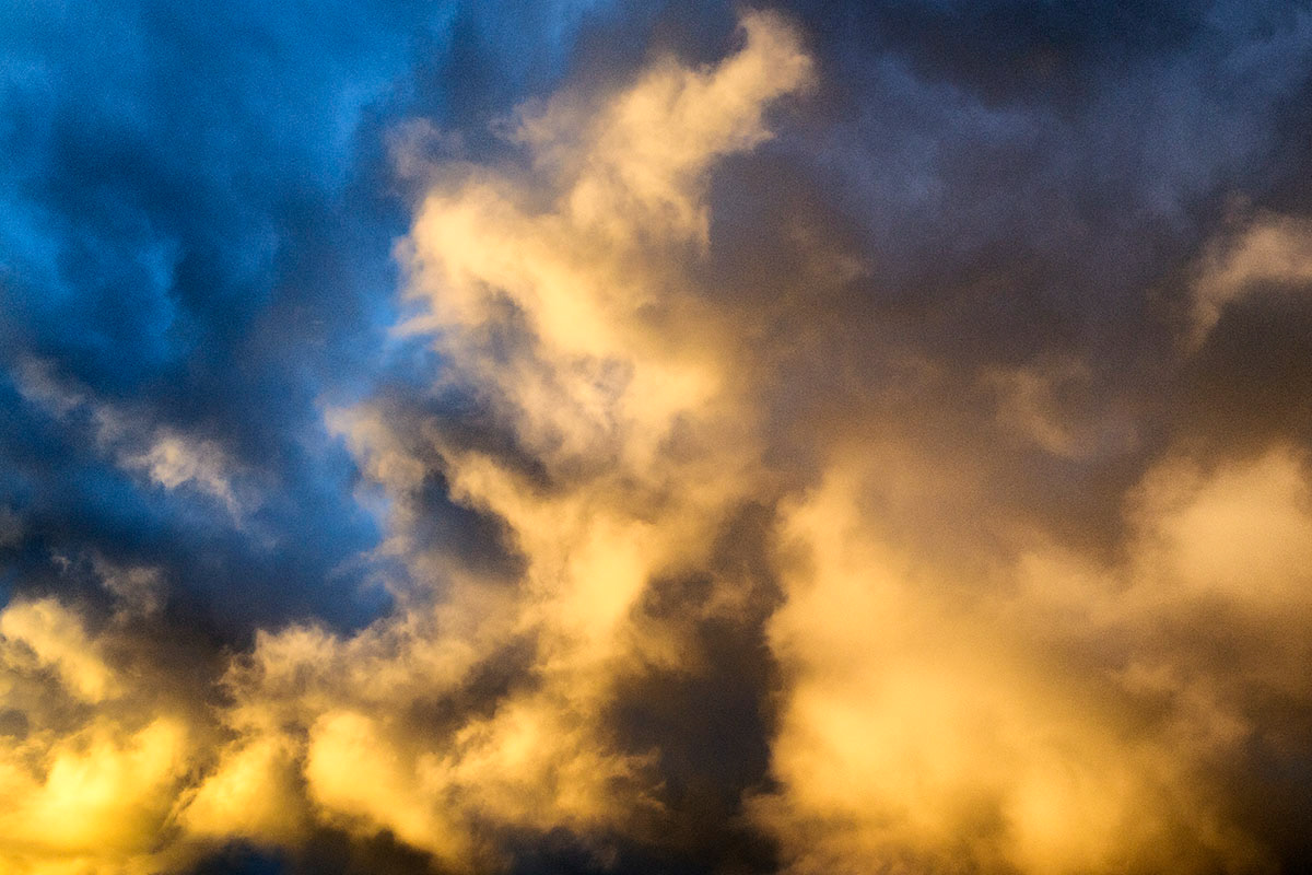 Untitled #104, 2018