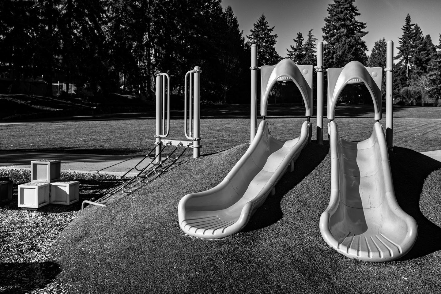 February 15, 2026 - Untitled #362