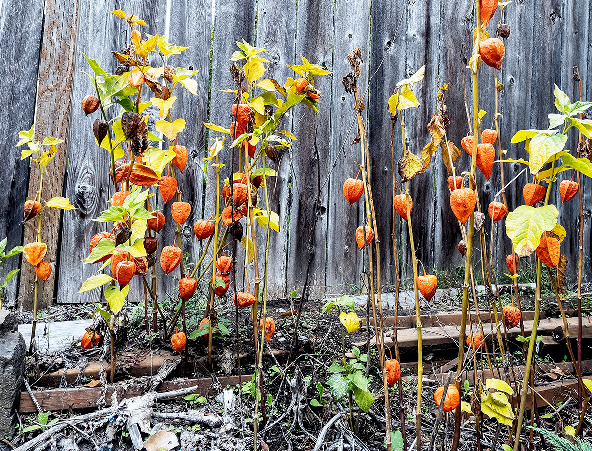 April 6 - Untitled #97