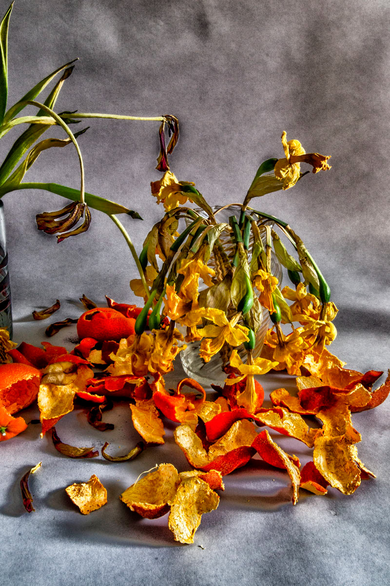 Still lifeless 3, 2021