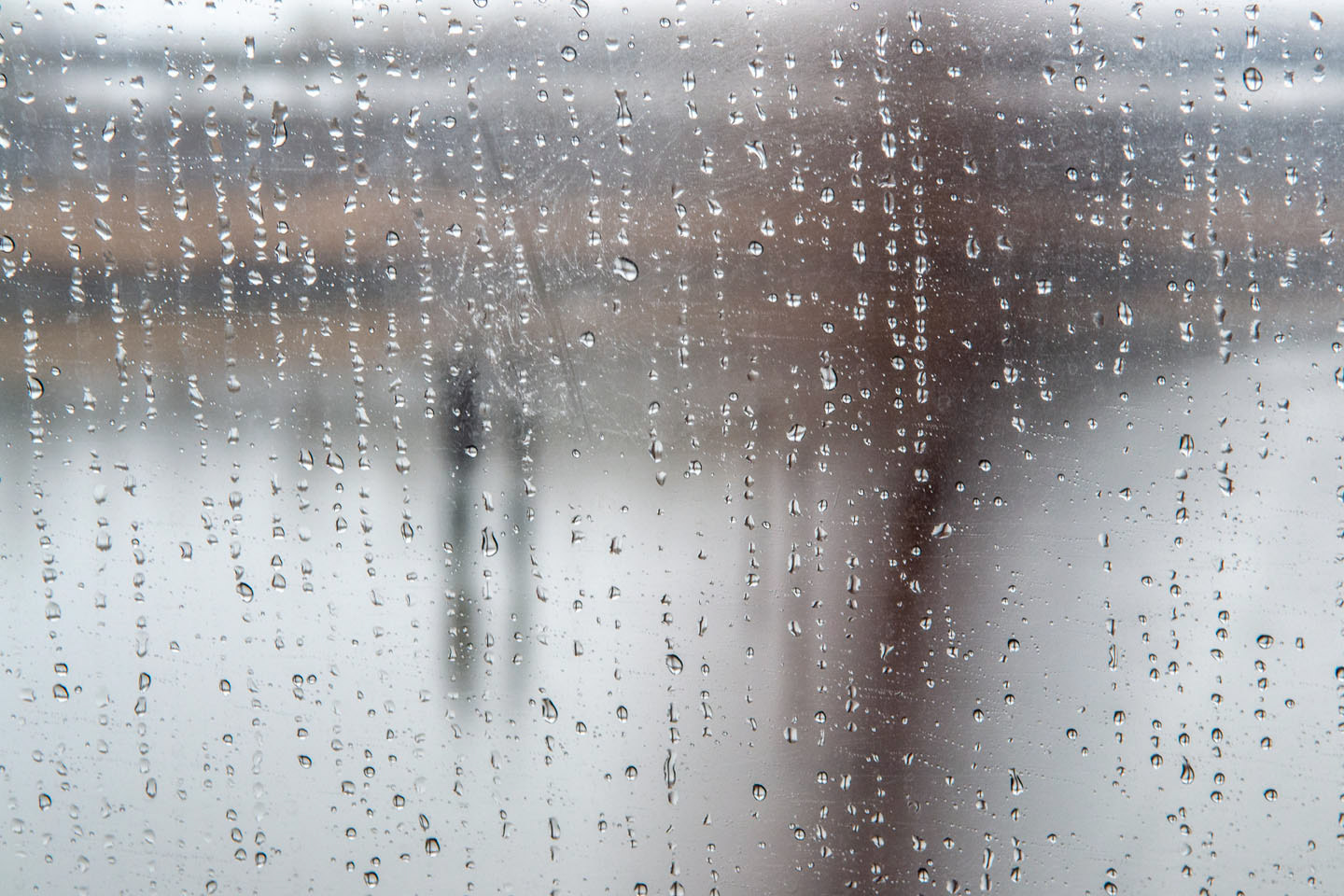 Untitled (rain painting 1), 2017