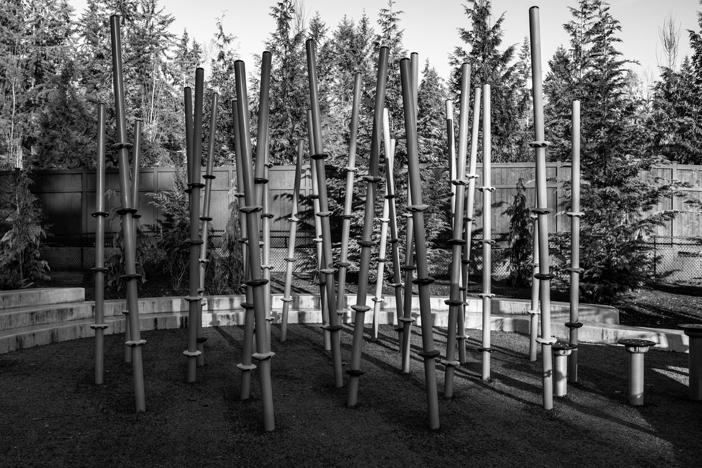 July 12, 2026 - Untitled #356