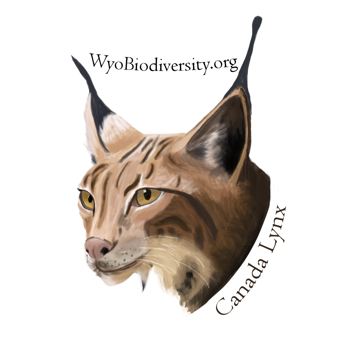 Lynx Biodiversity Sticker