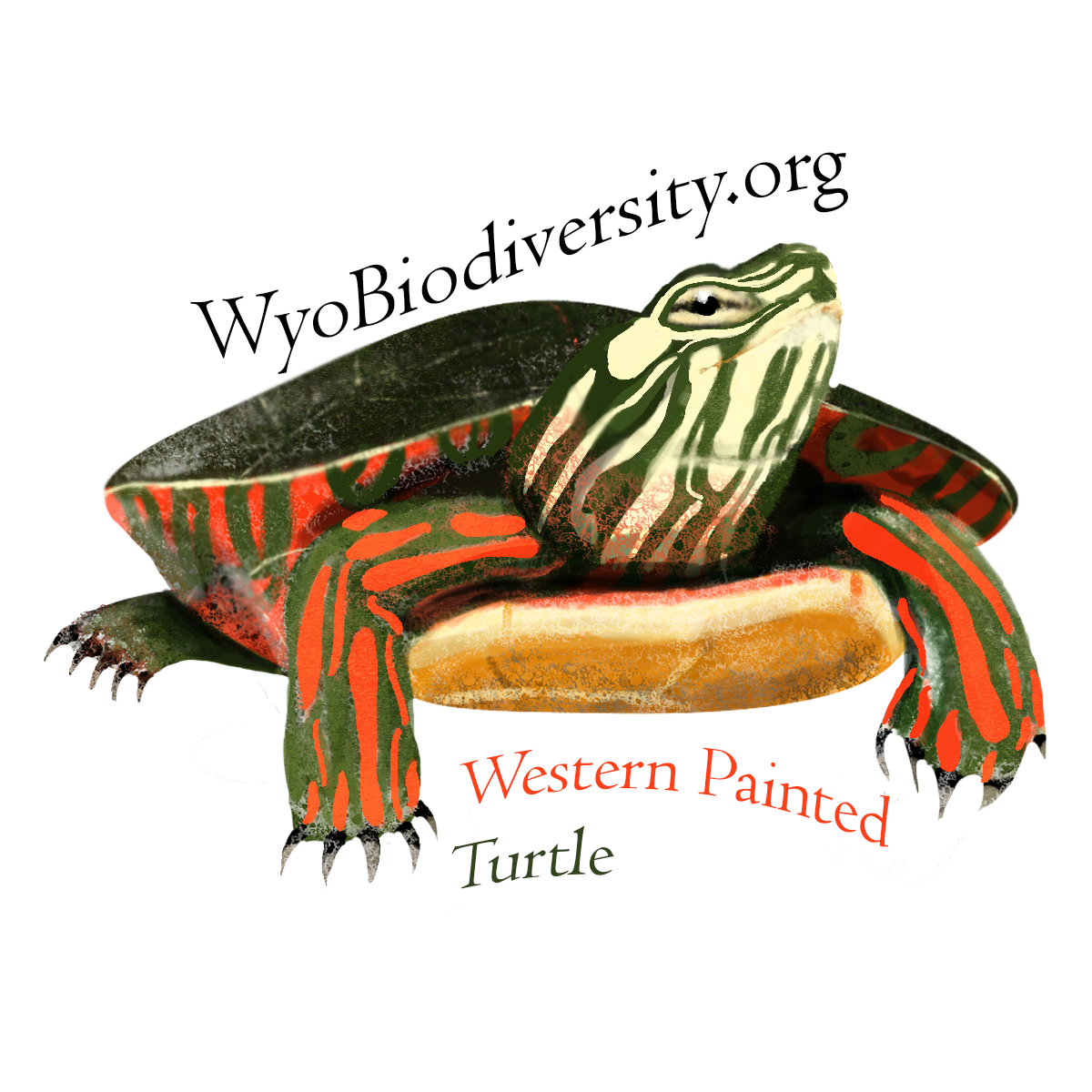 Turtle Biocenter Sticker