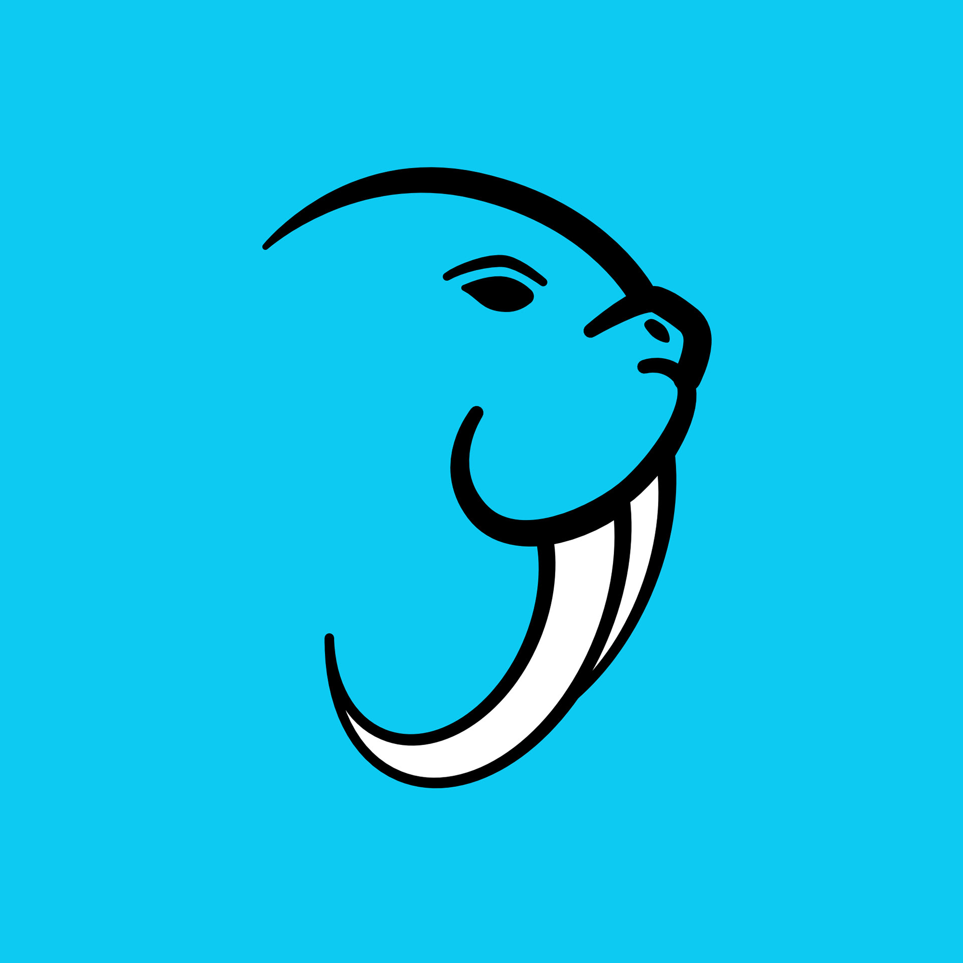 J + Walrus