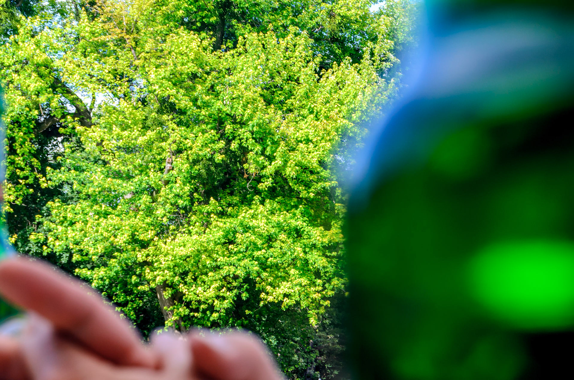 Die Grosse '22 Eröffnung Düsseldorf 11.06.22