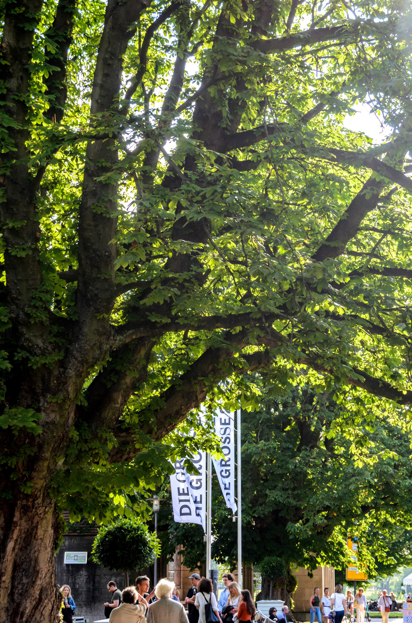 Die Grosse '22 Eröffnung Düsseldorf 11.06.22