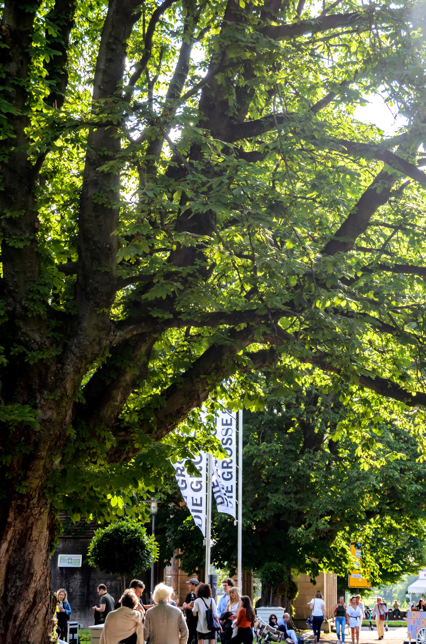Die Grosse '22 Eröffnung Düsseldorf 11.06.22