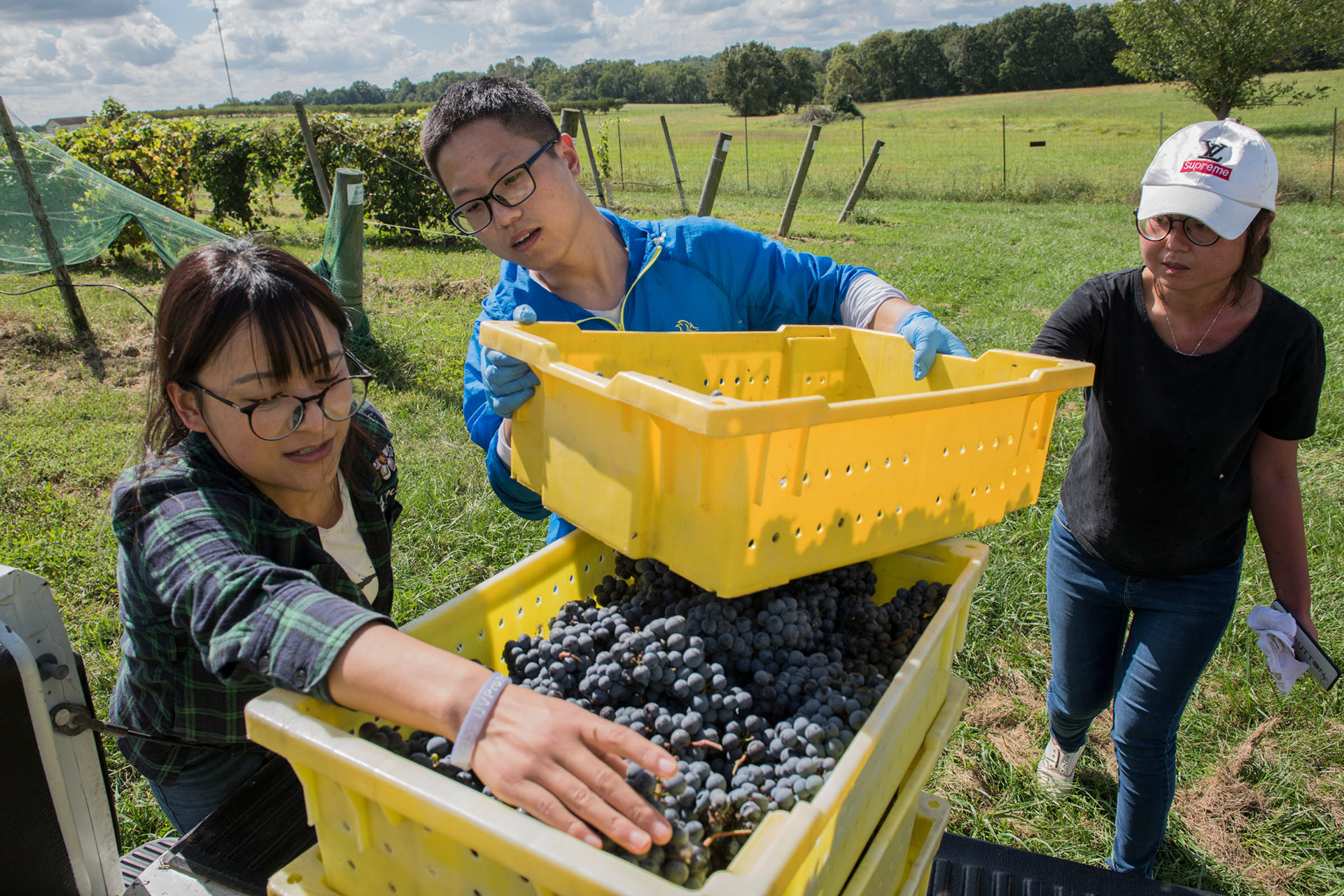 (L to R) Sherry (Xiaoli Zhang), Kai (Xiaokai Bao) and Candy (Xue Ning Zhai) are Chinese-exchange students living on the 190-acre research campus of Missouri State–Mountain Grove.