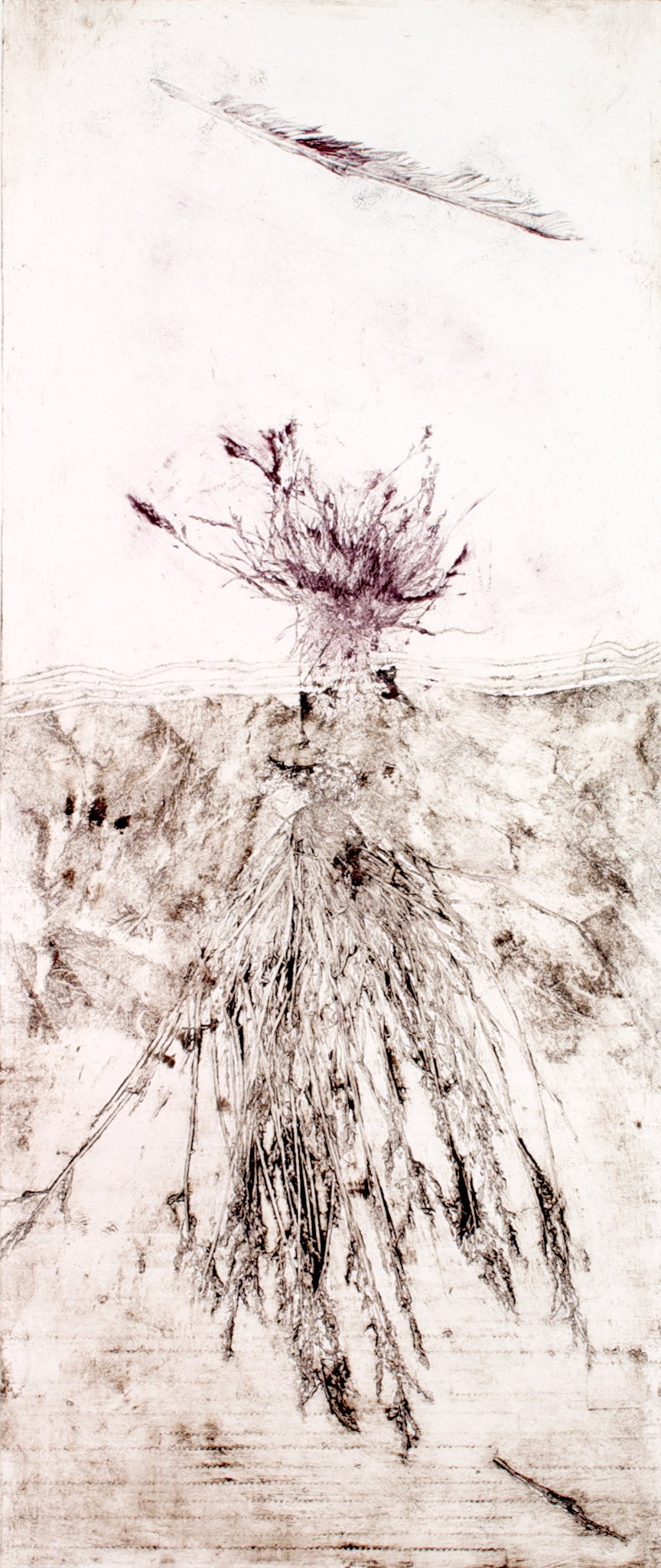 collagraph
