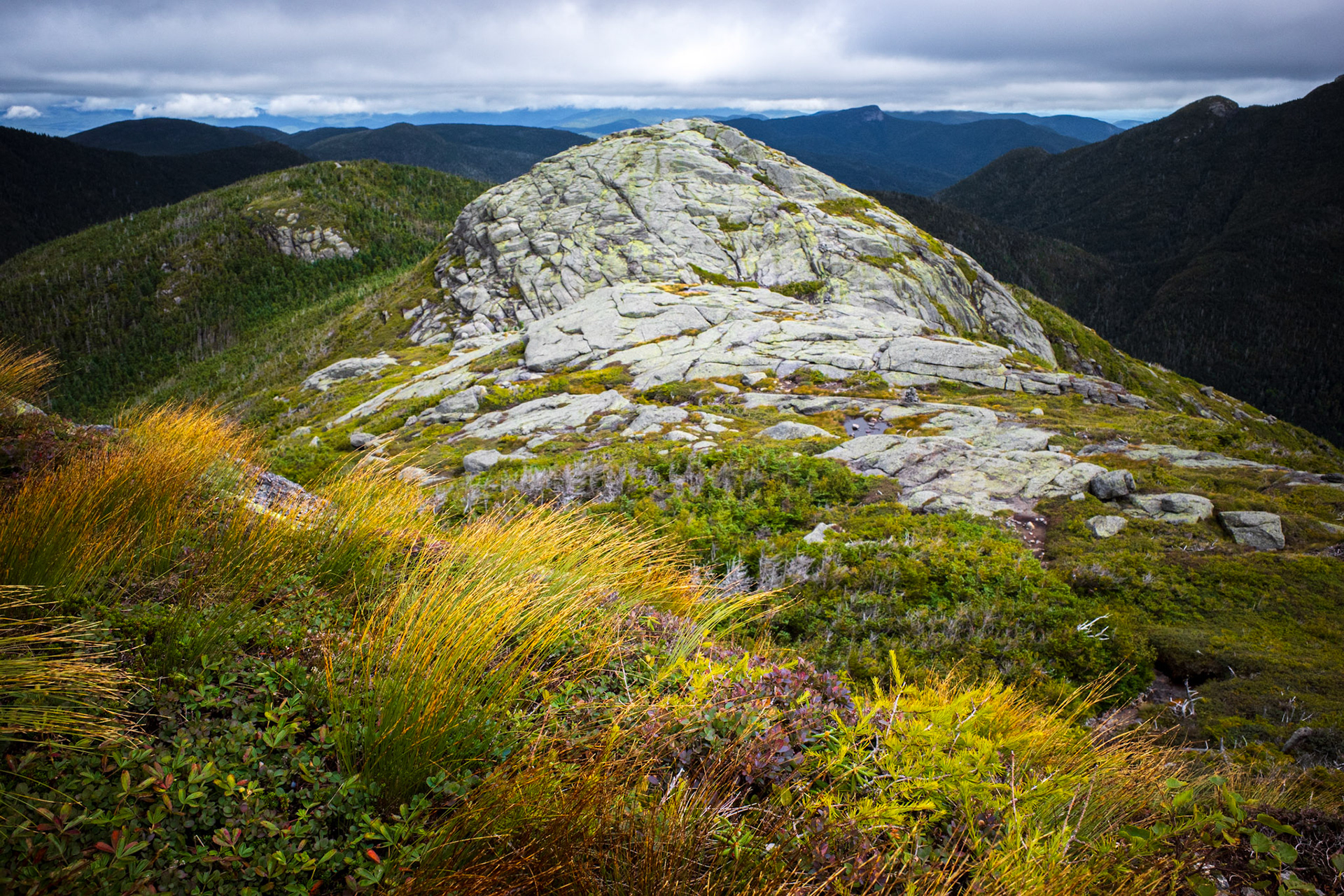 Alpine Meadow on Haystack
