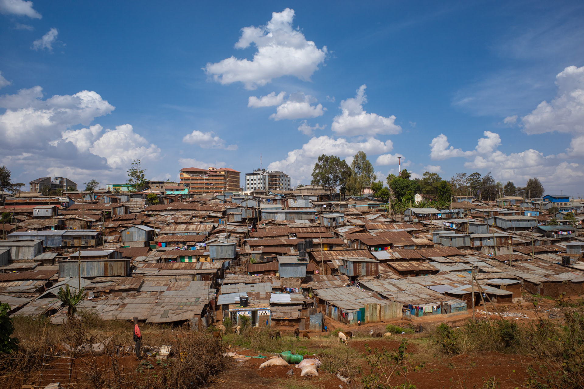 17. “Makeshift City”