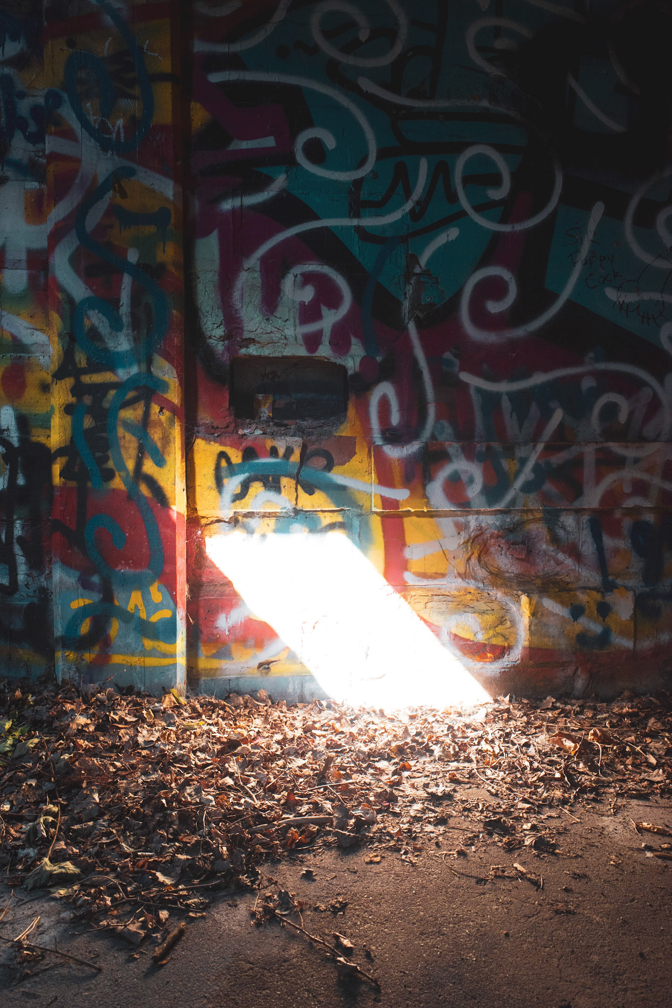 37. Light Comes Though