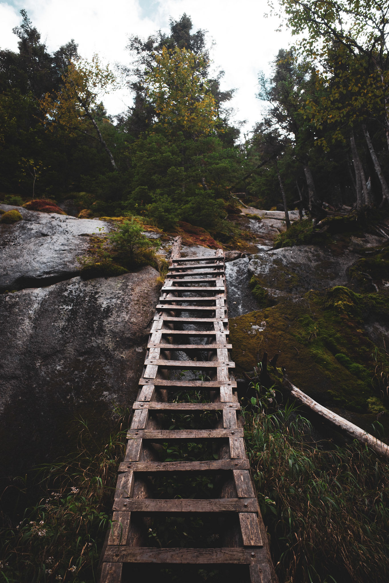 Climbing