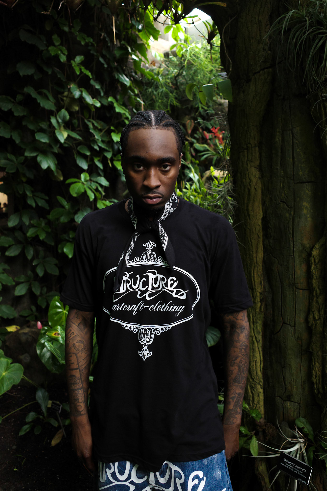 Structure in the Jungle