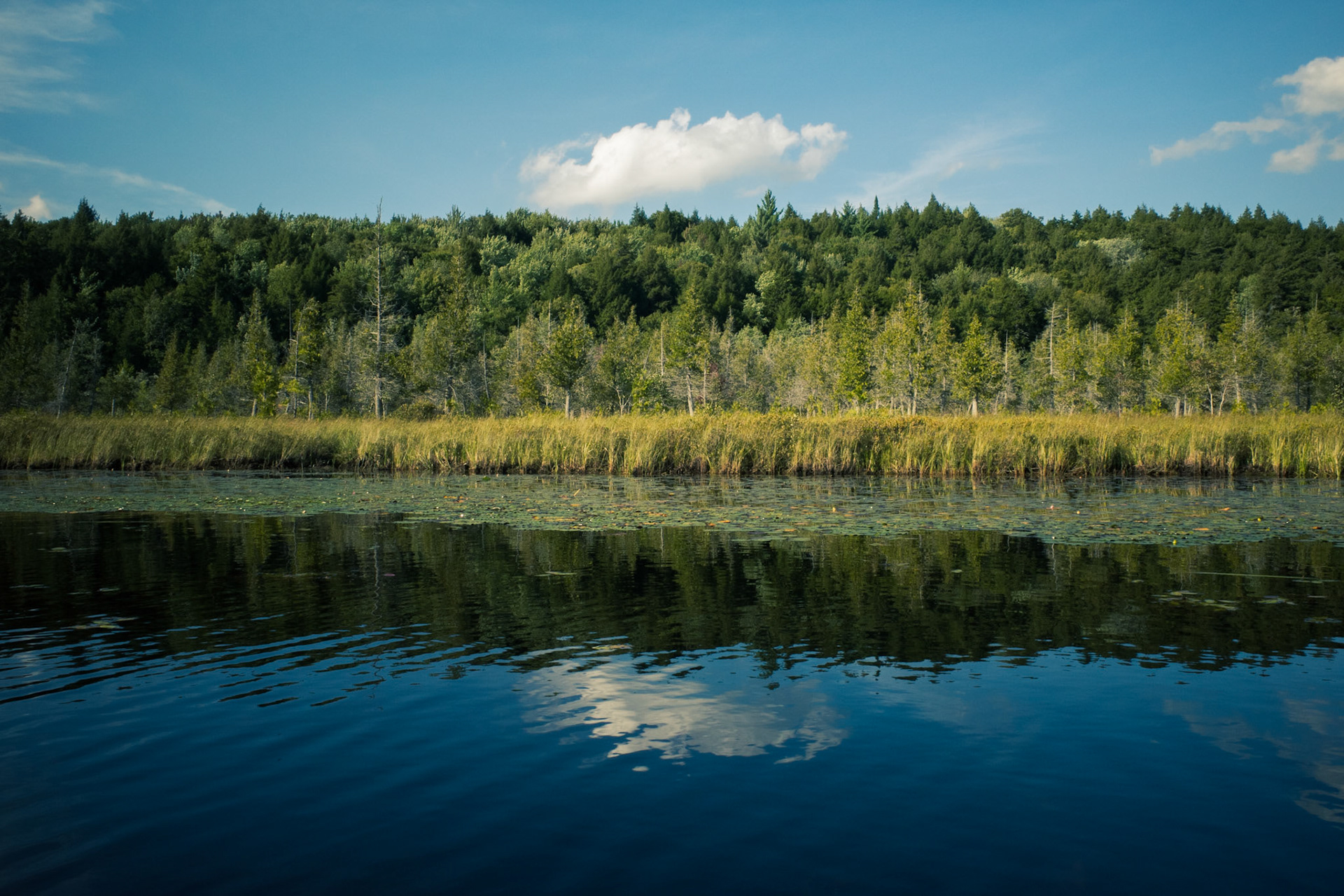 Mirrored Bank