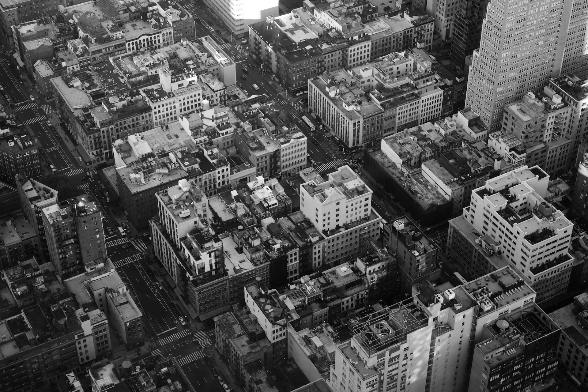 28. Aerial Jungle