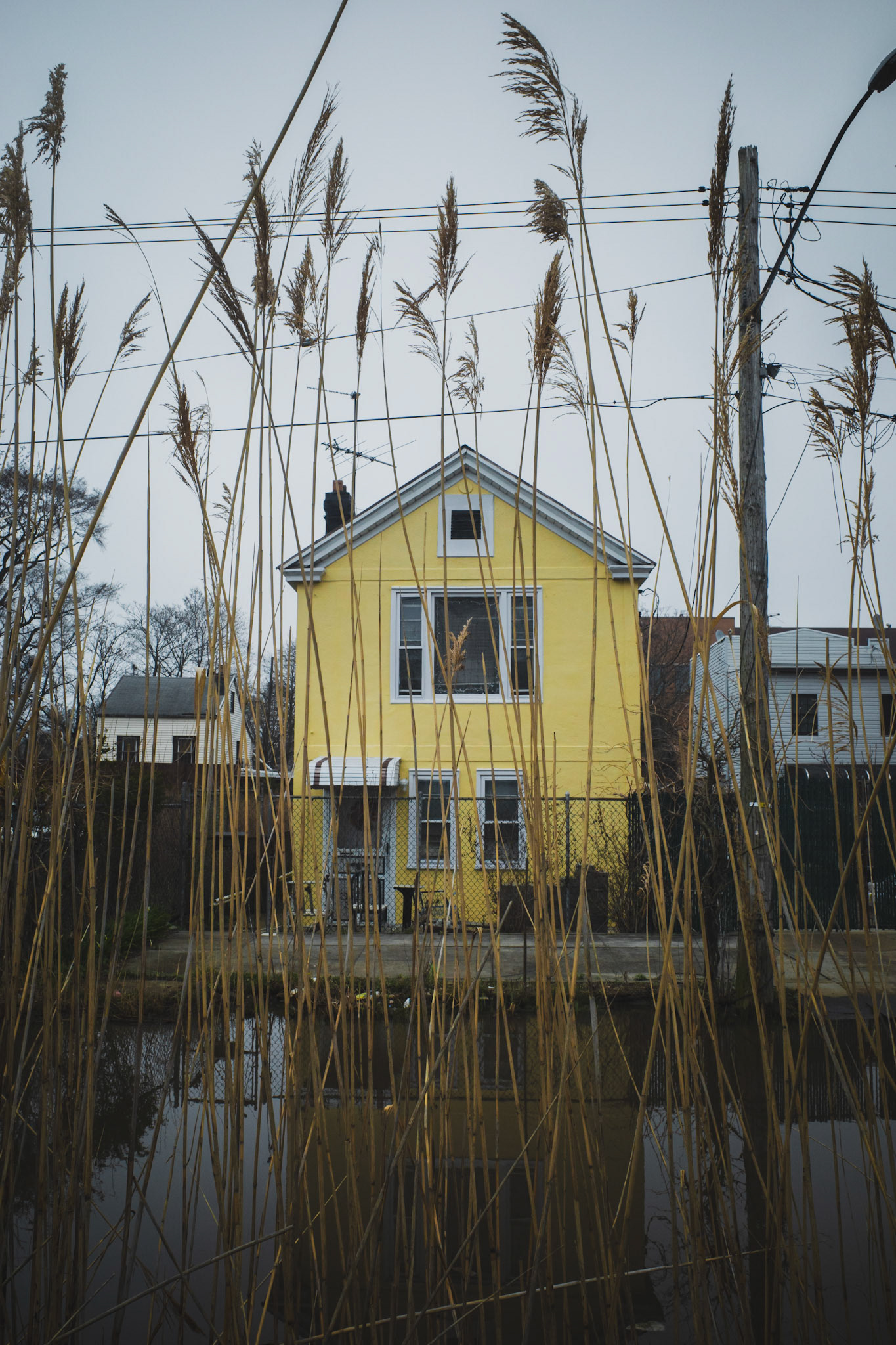 23. Yellow House in the Marsh