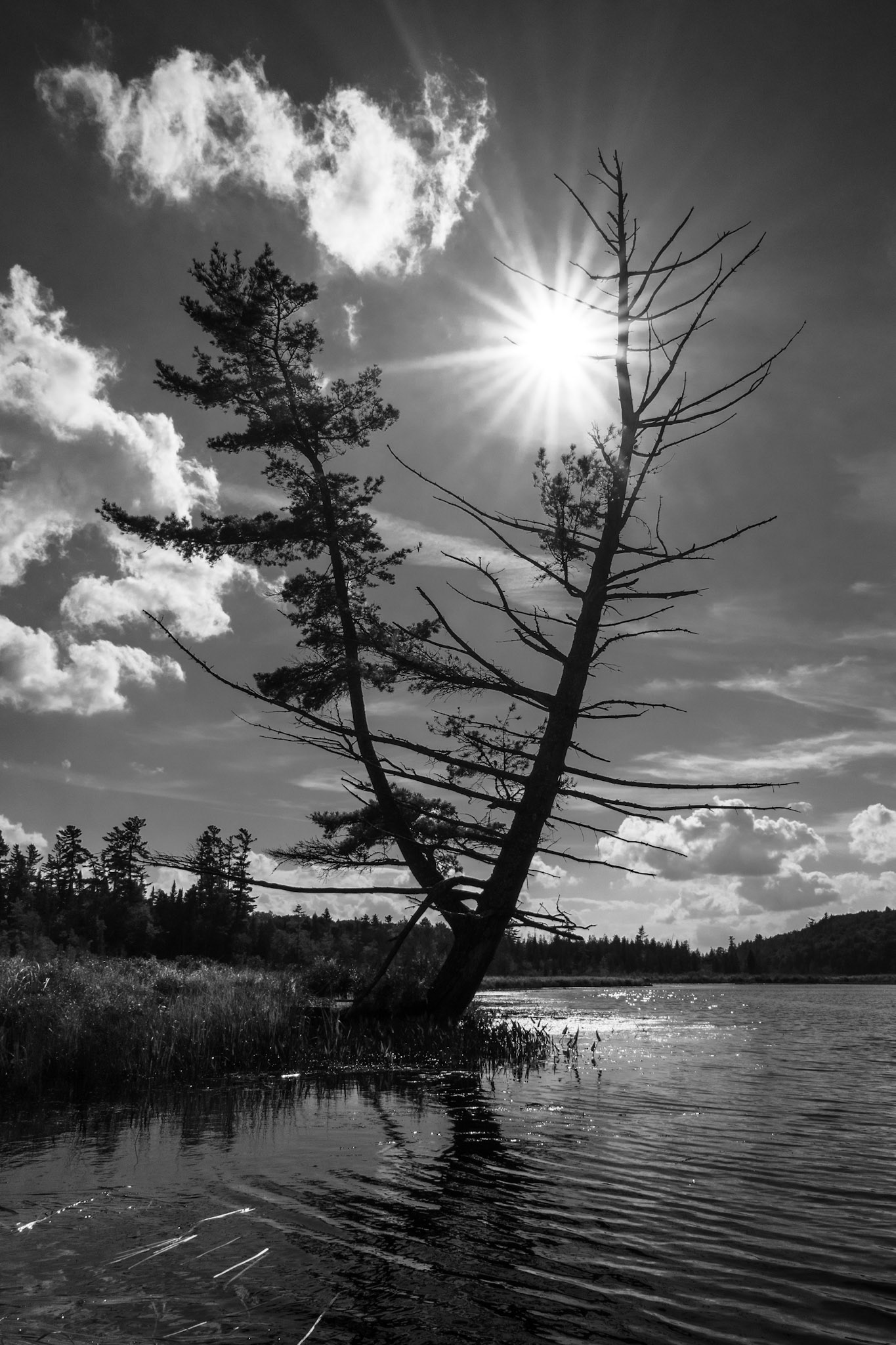 Sharpening Down The River