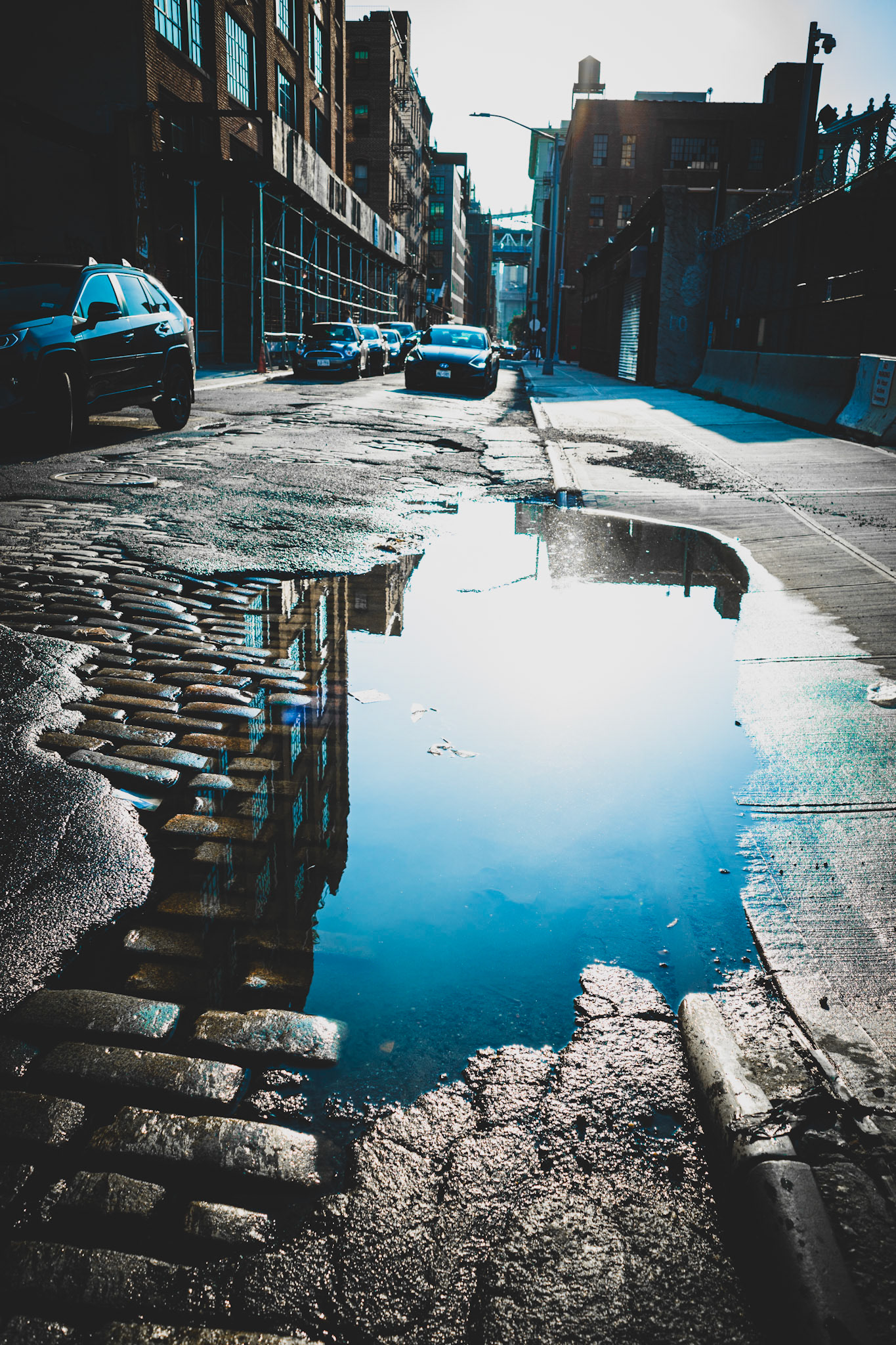 35. Reflections in Blue