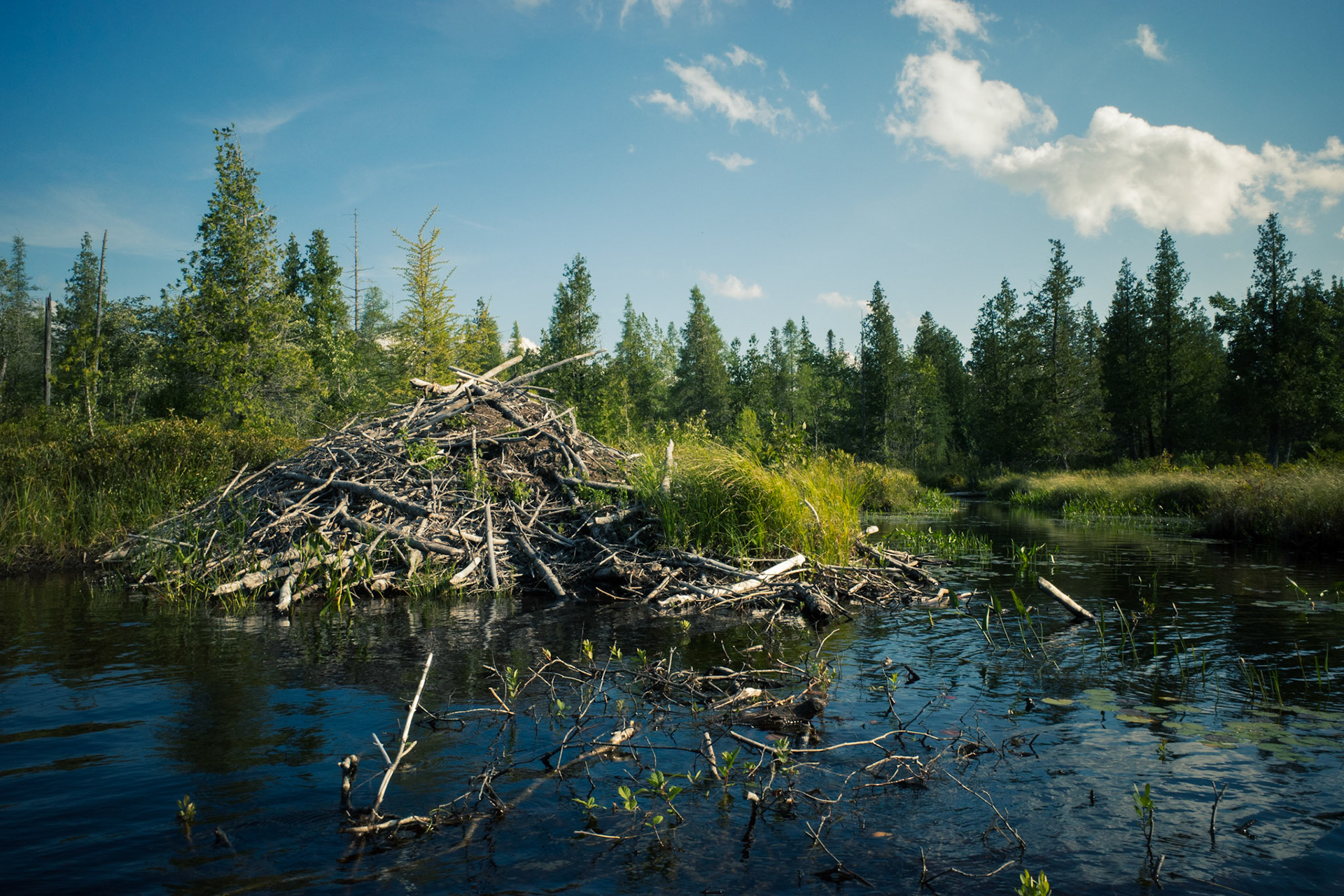 Beaver Fort