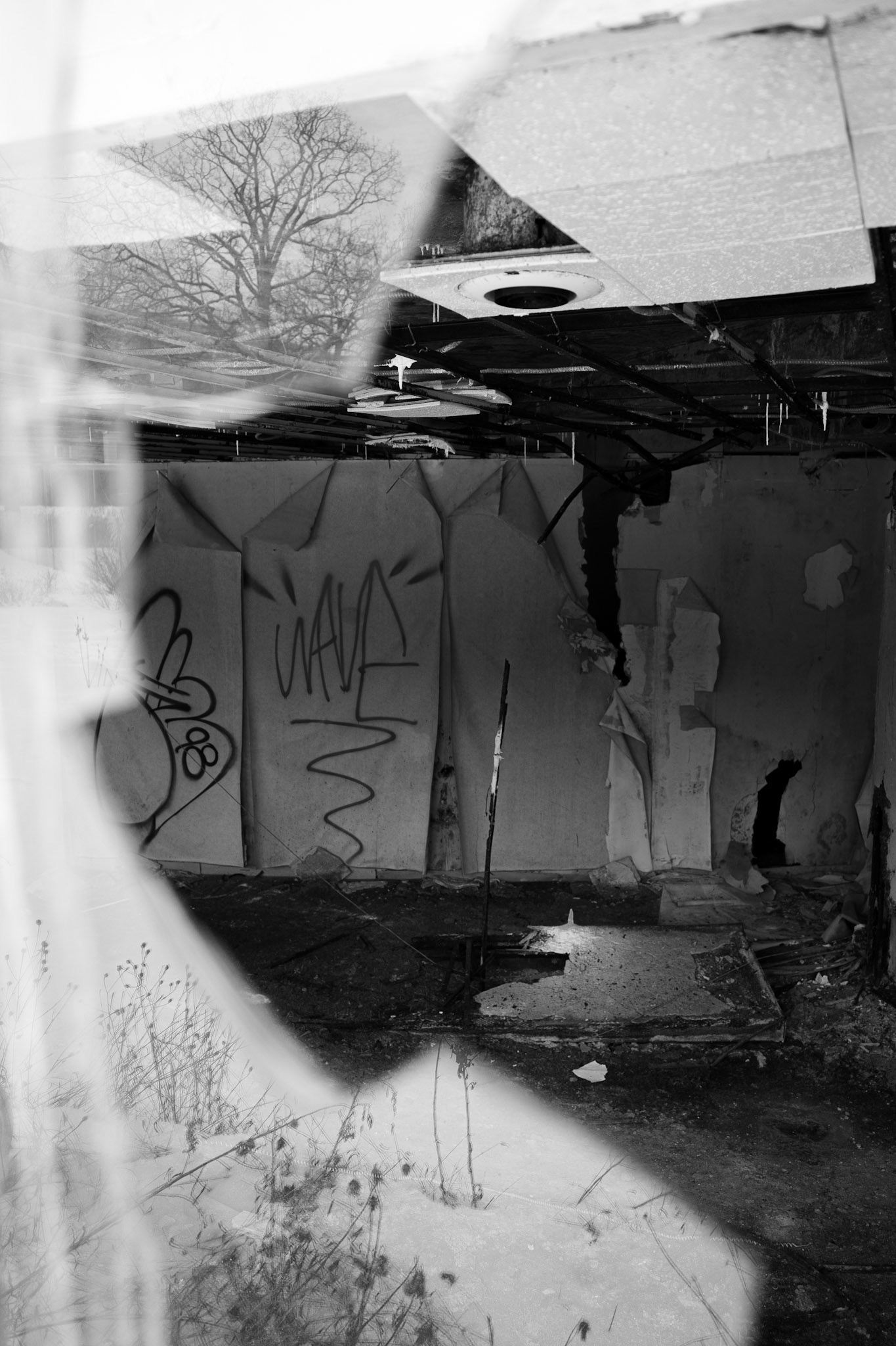 17. Broken Reflections