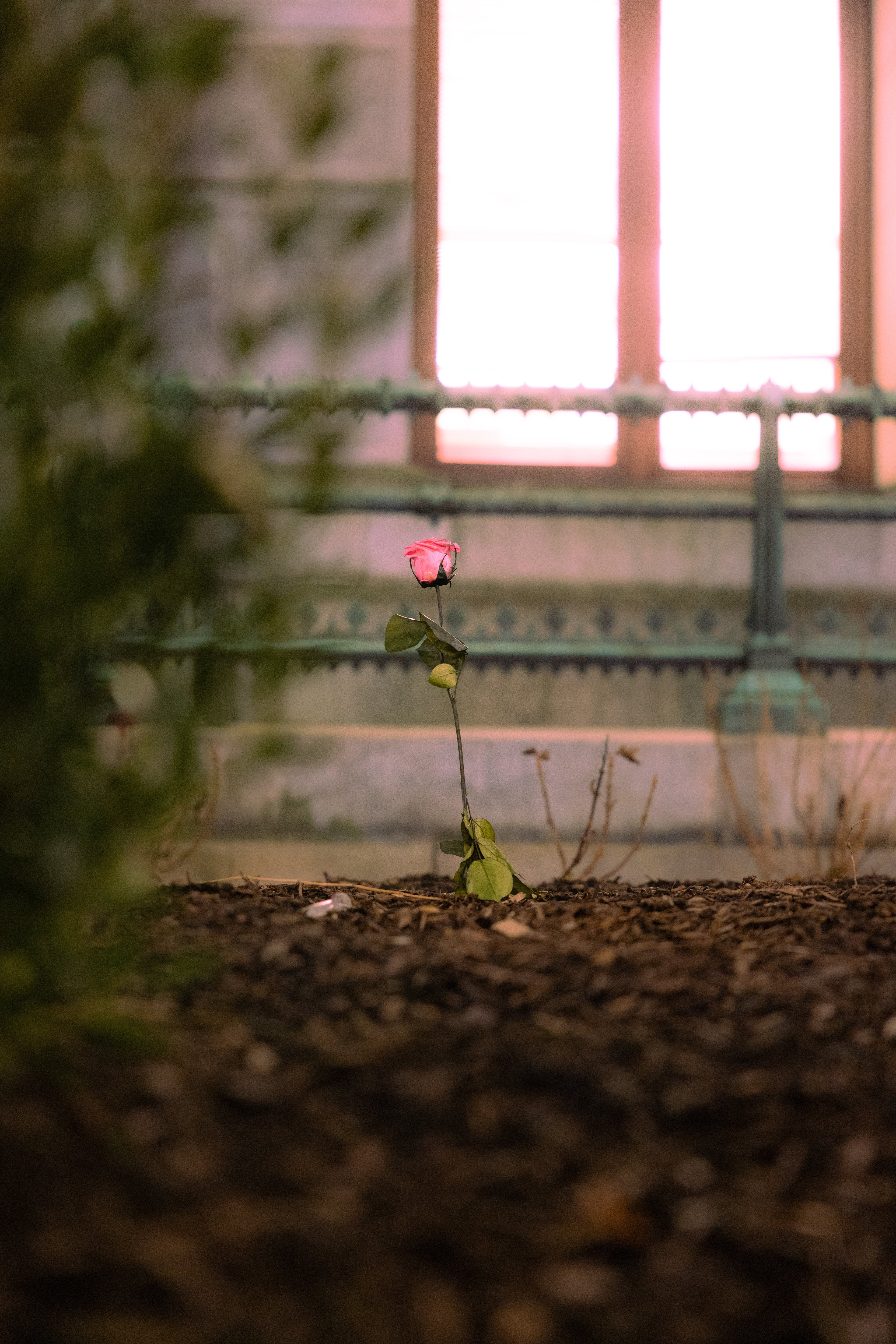 Barren | 2026