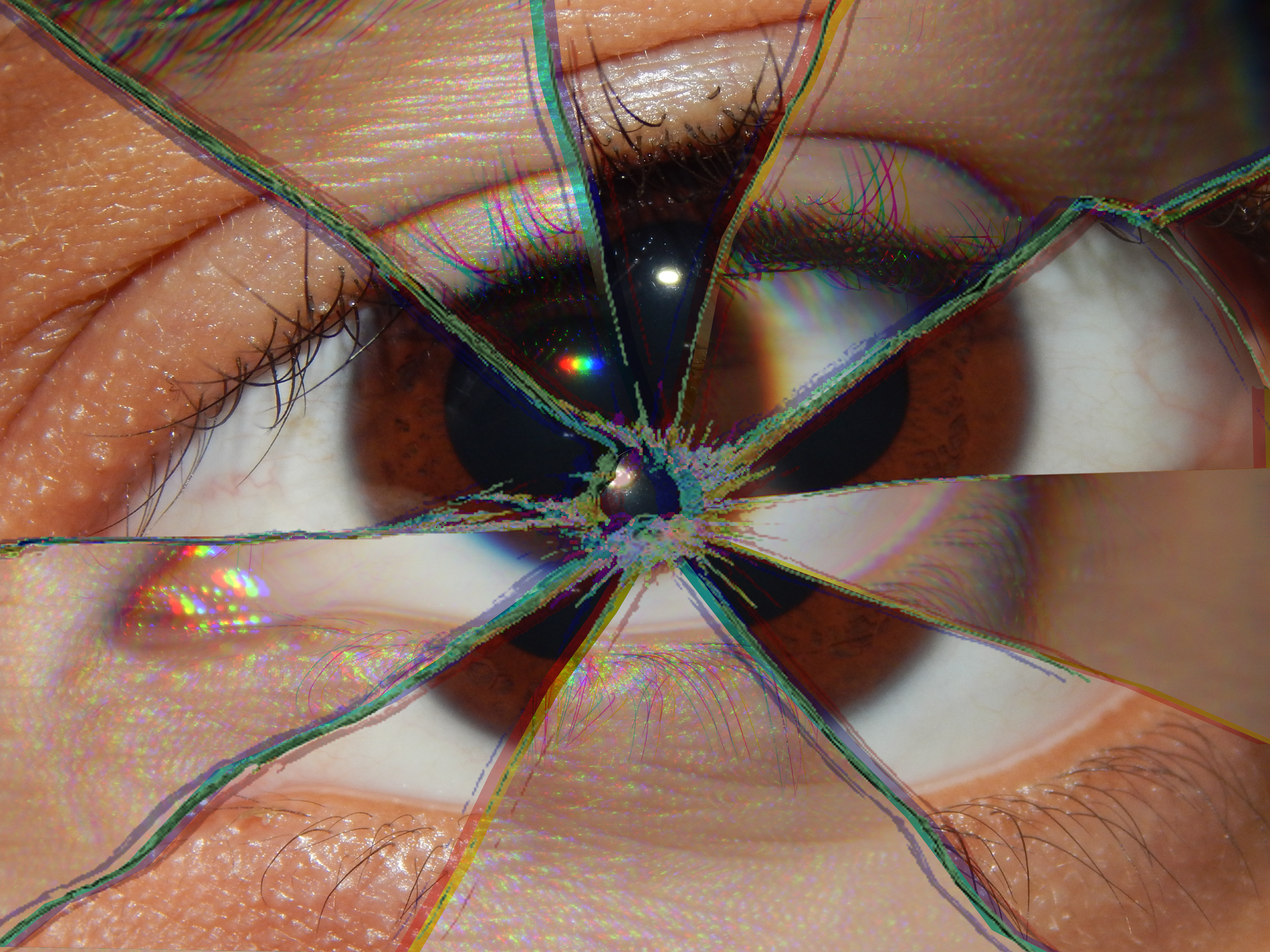 Shattered | 2023