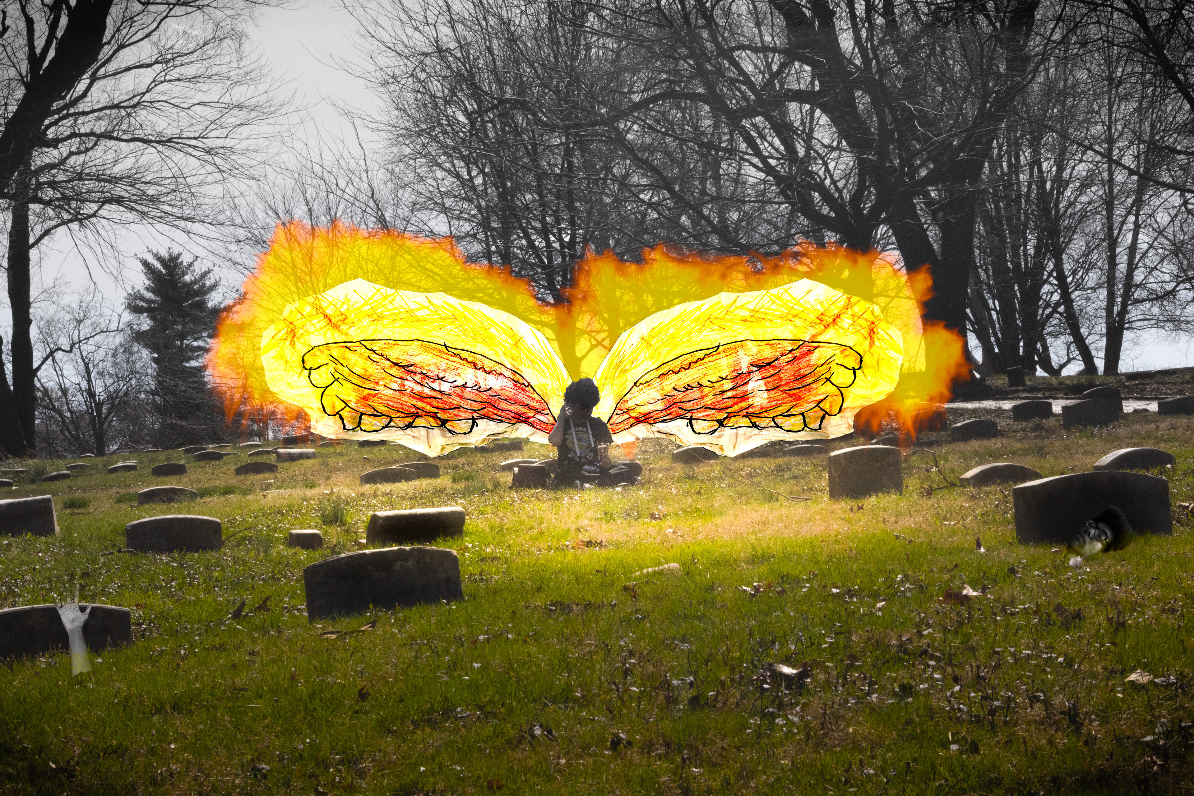 A Fire in the Garden | 2024