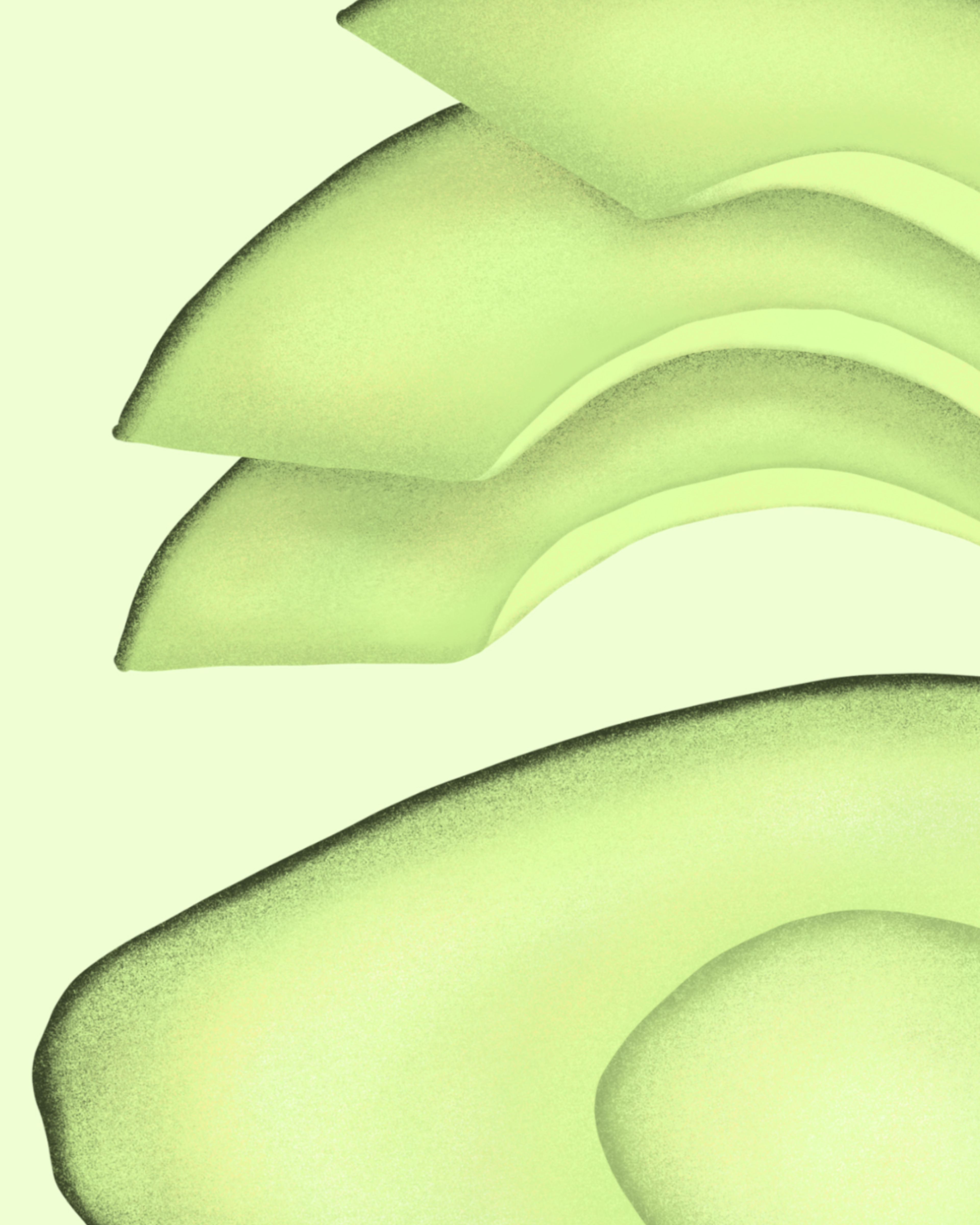 Food Series - Fresh Avocado - Detail