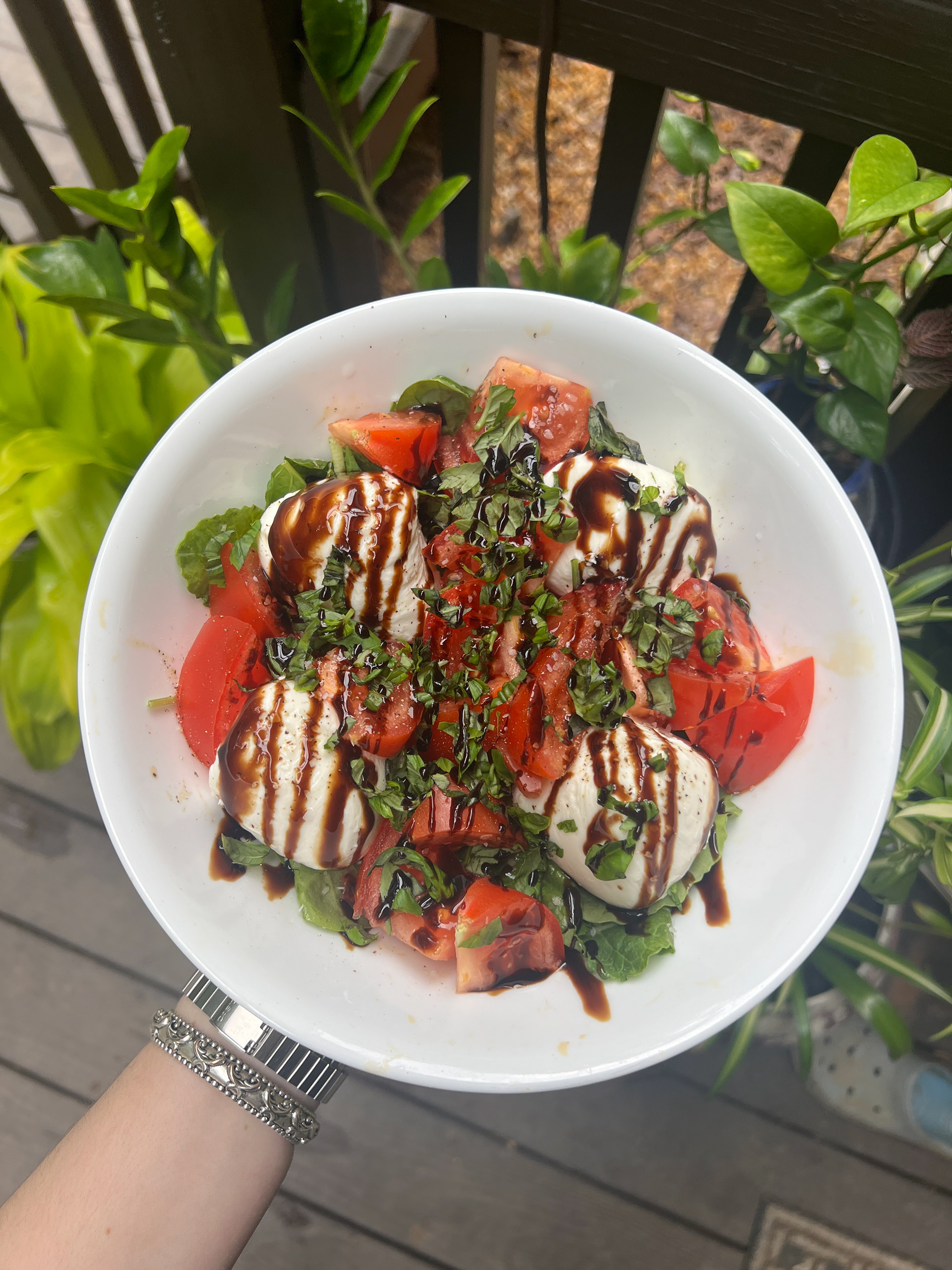Homemade burrata salad