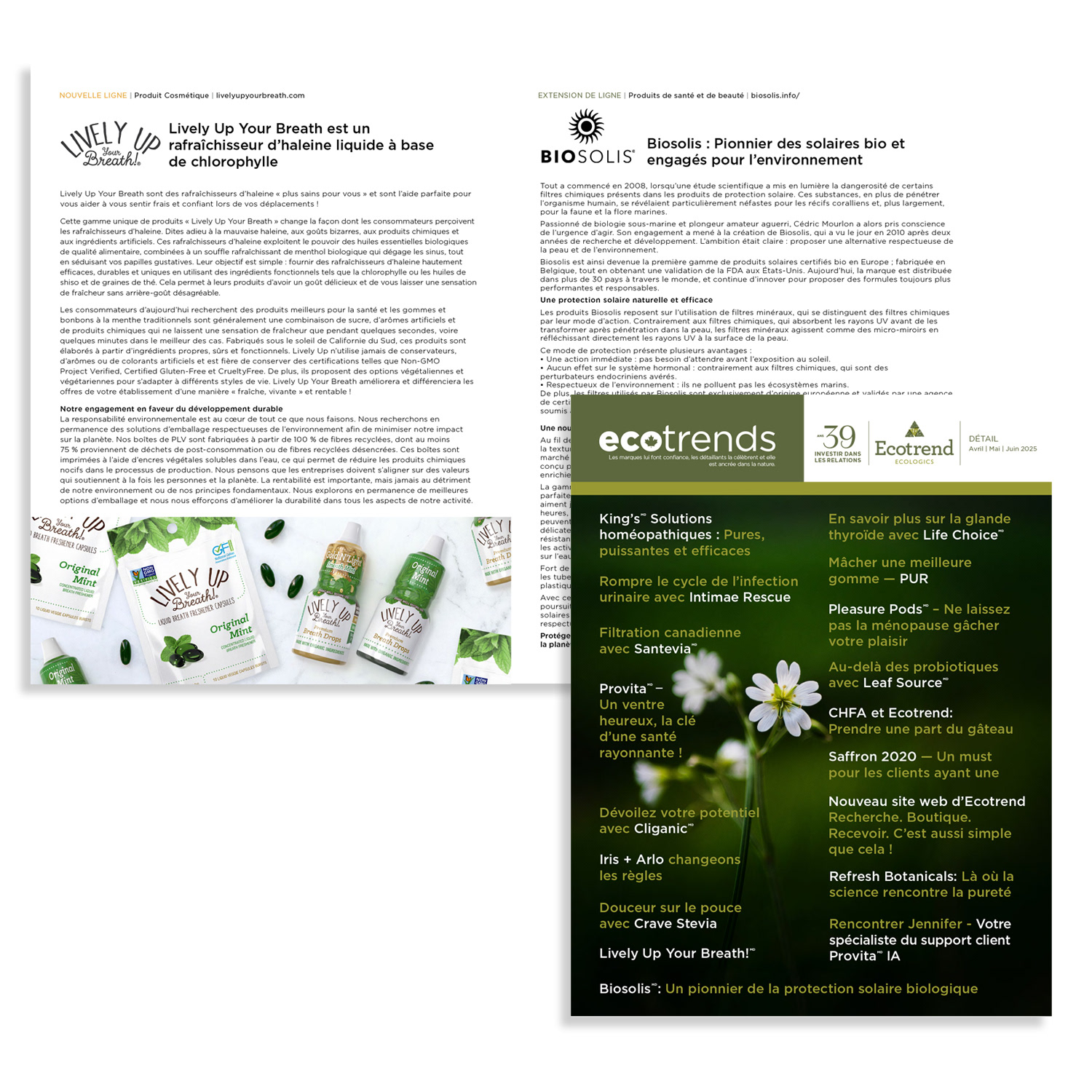 Ecotrend Retail Newsletter