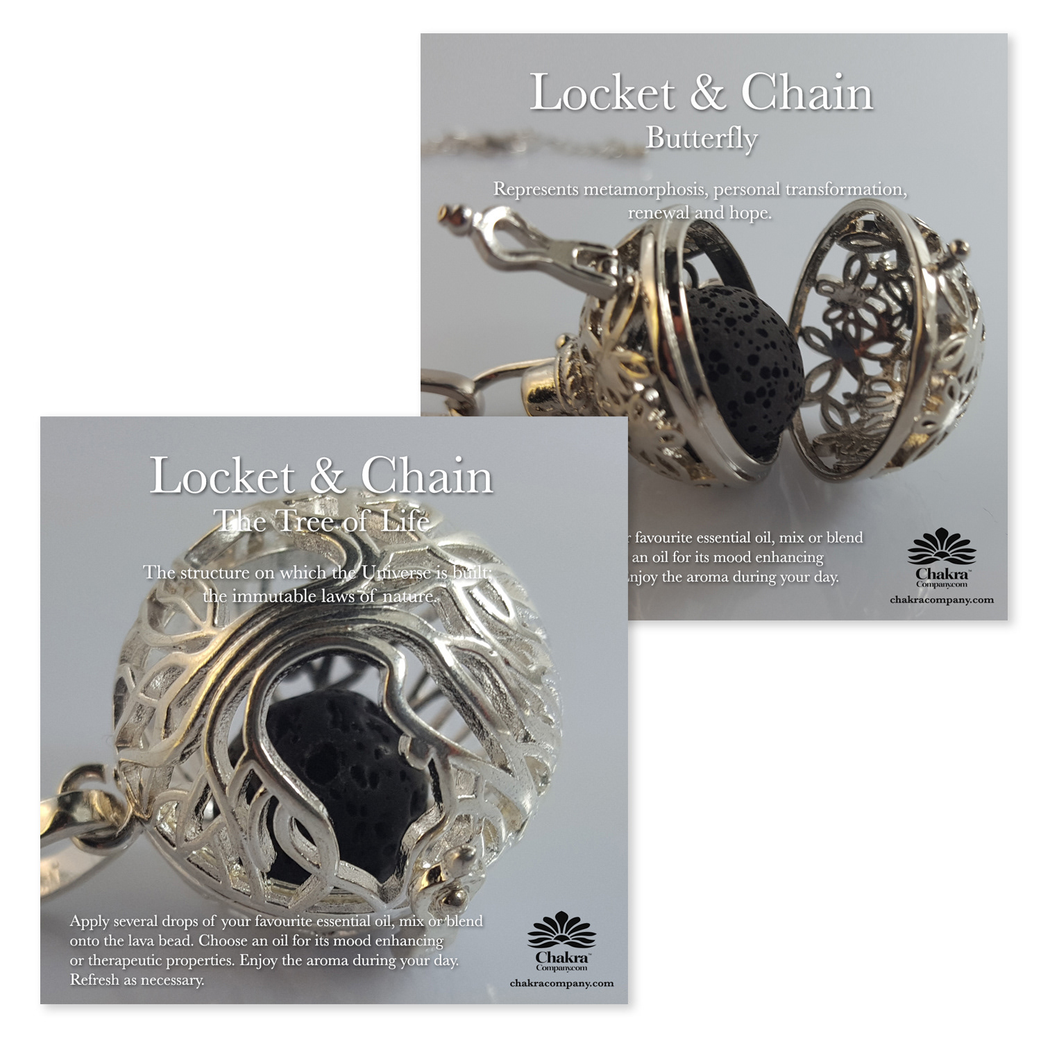 The Chakra Company Social Media Post