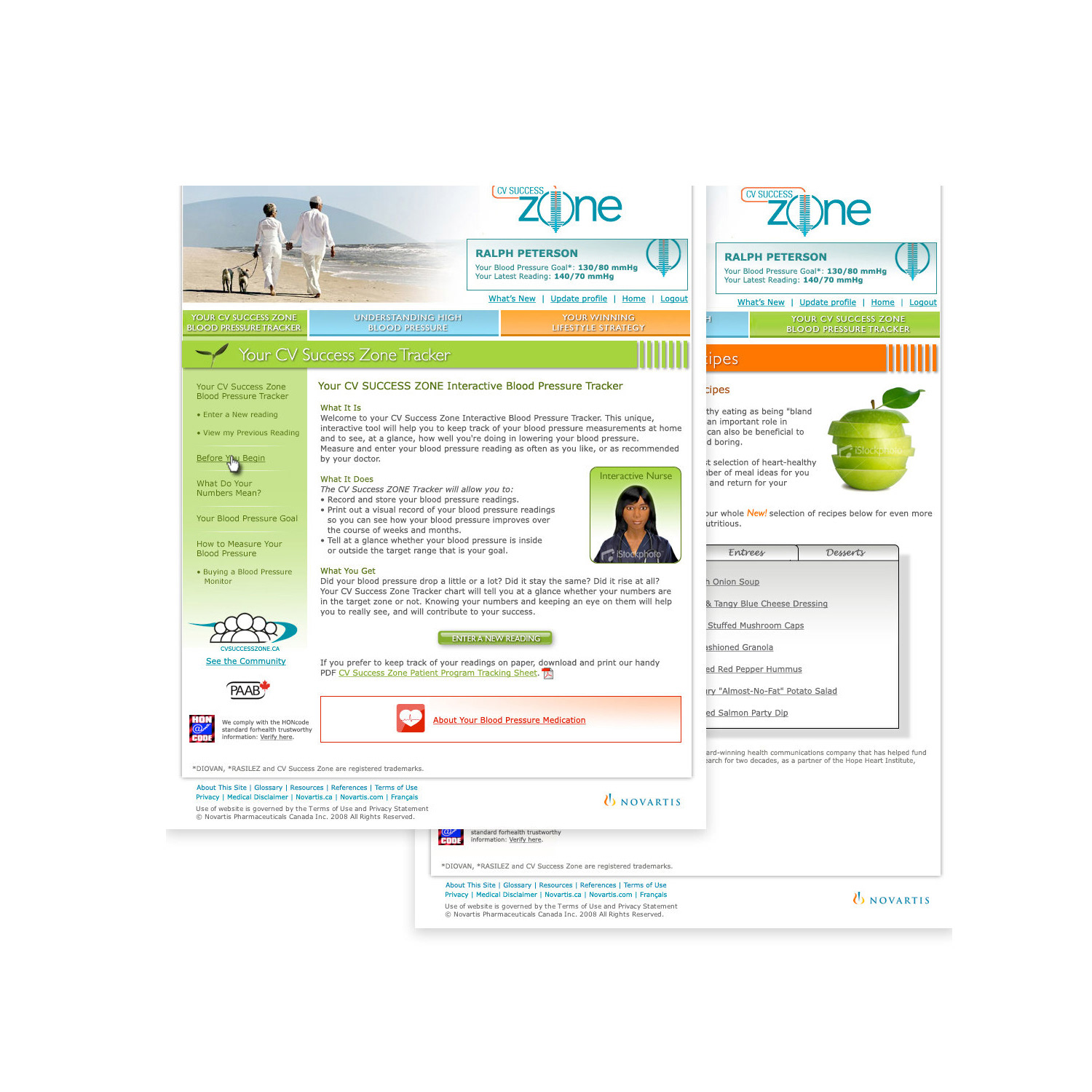 CV Success Website