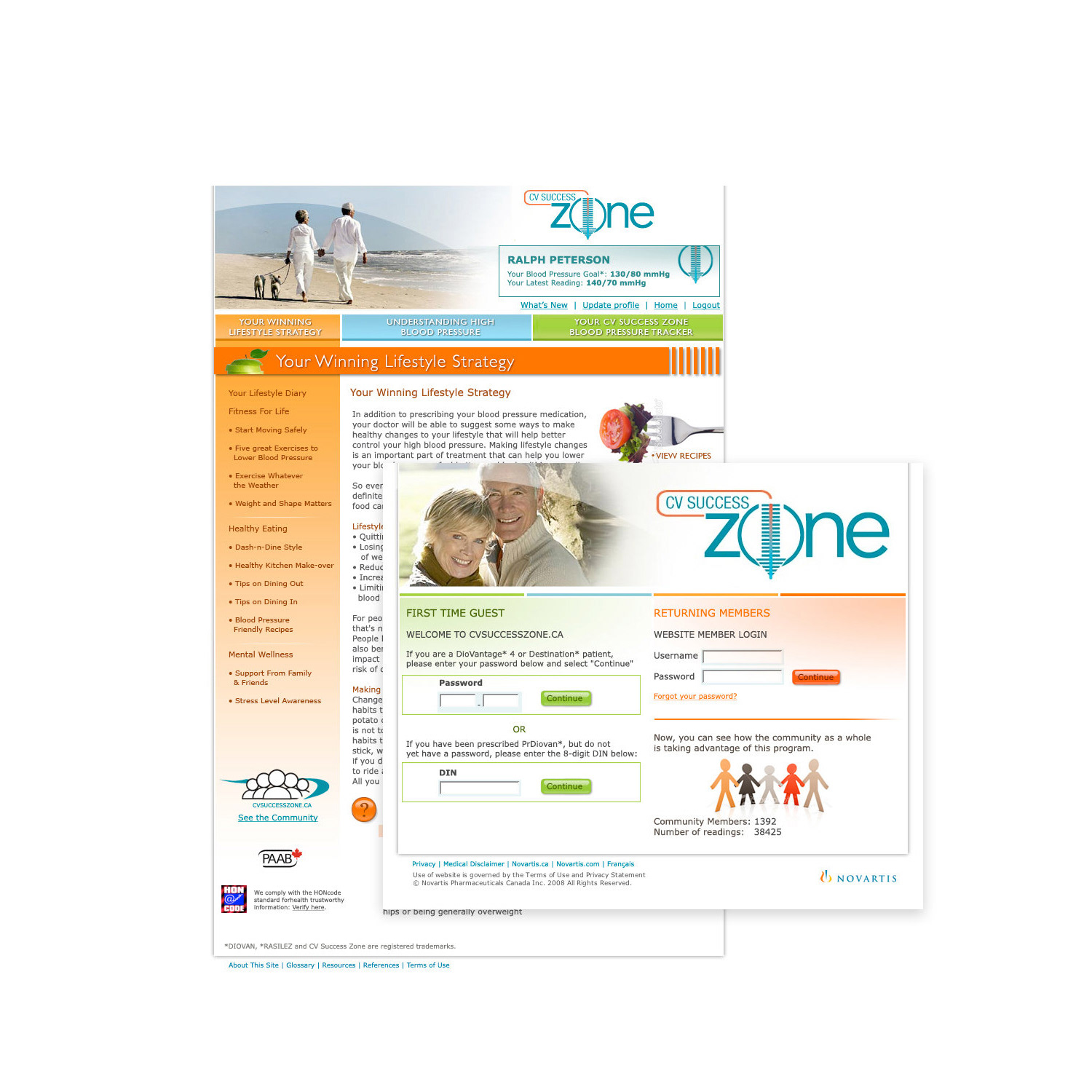 CV Success Website