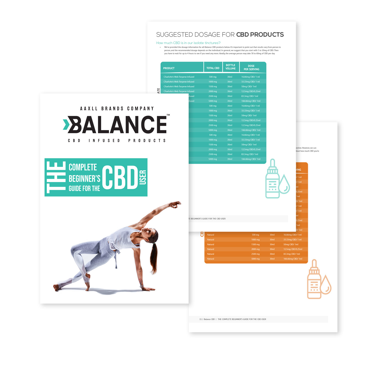 Print and Interactive PDF brochure