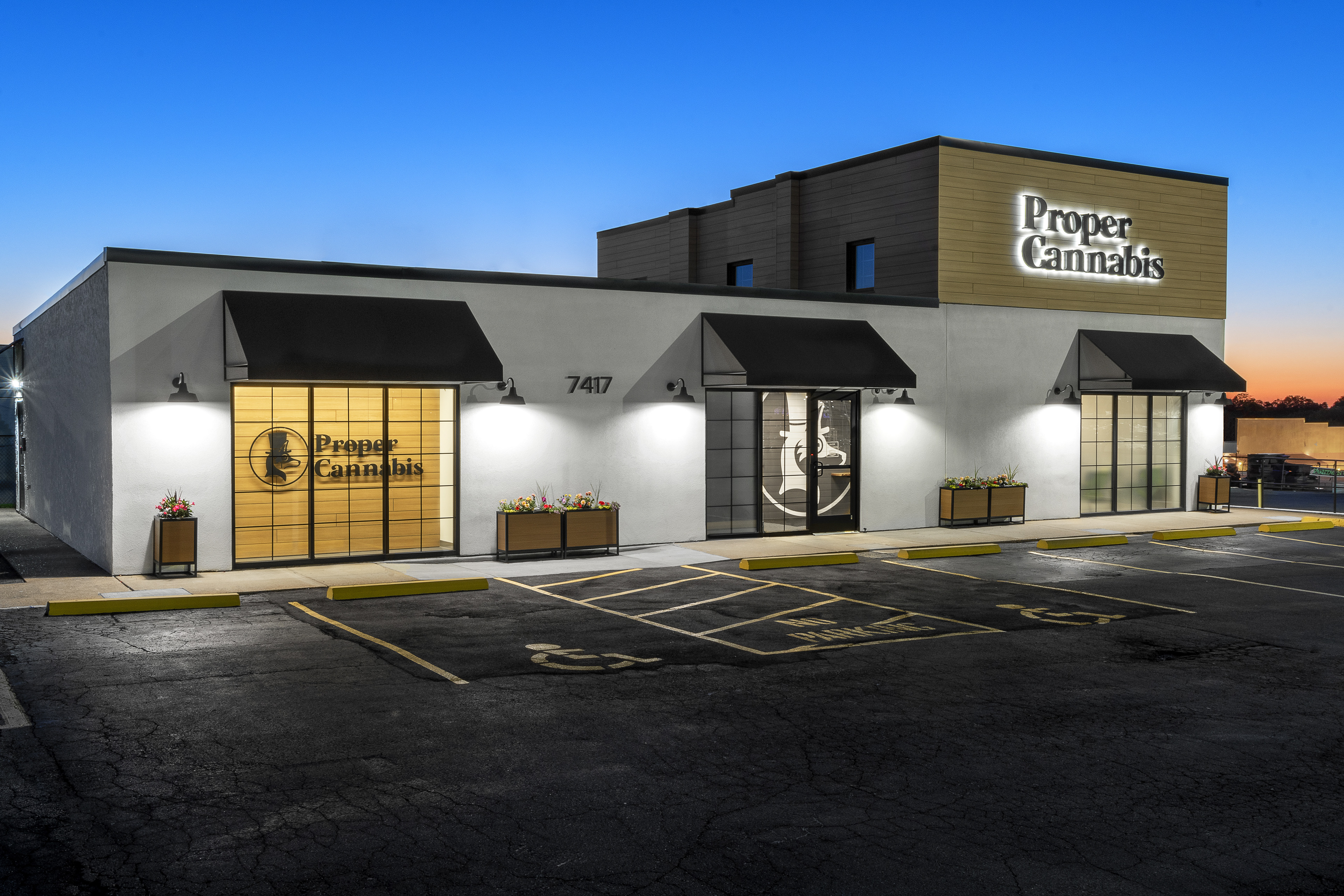 Eddy Design : Proper Cannabis : Saint Louis, MO