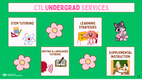 Undergraduate support services overview