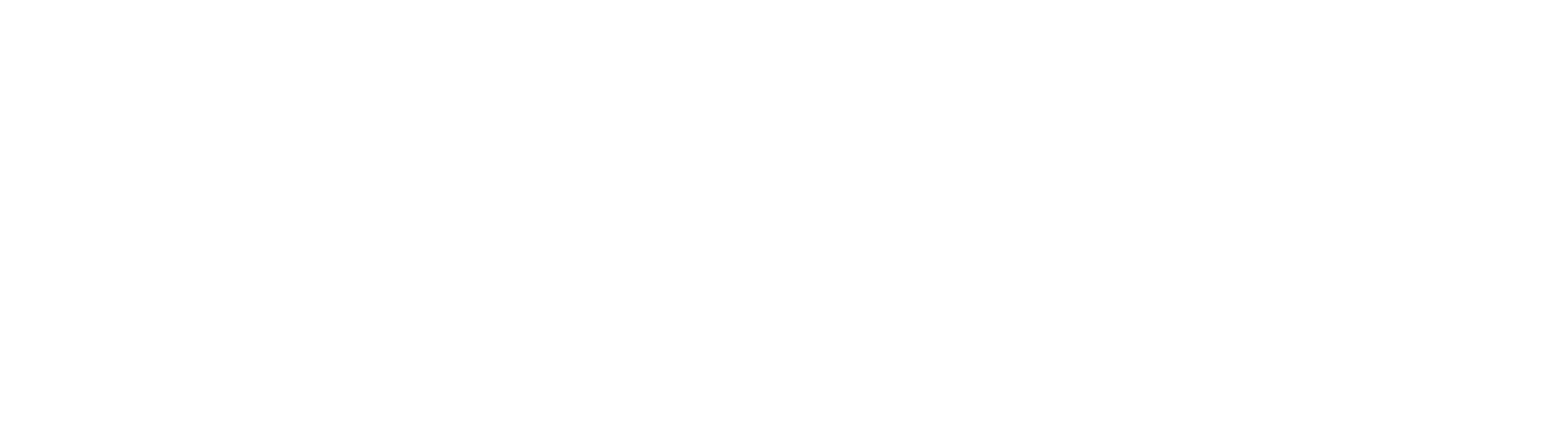 LSMedia