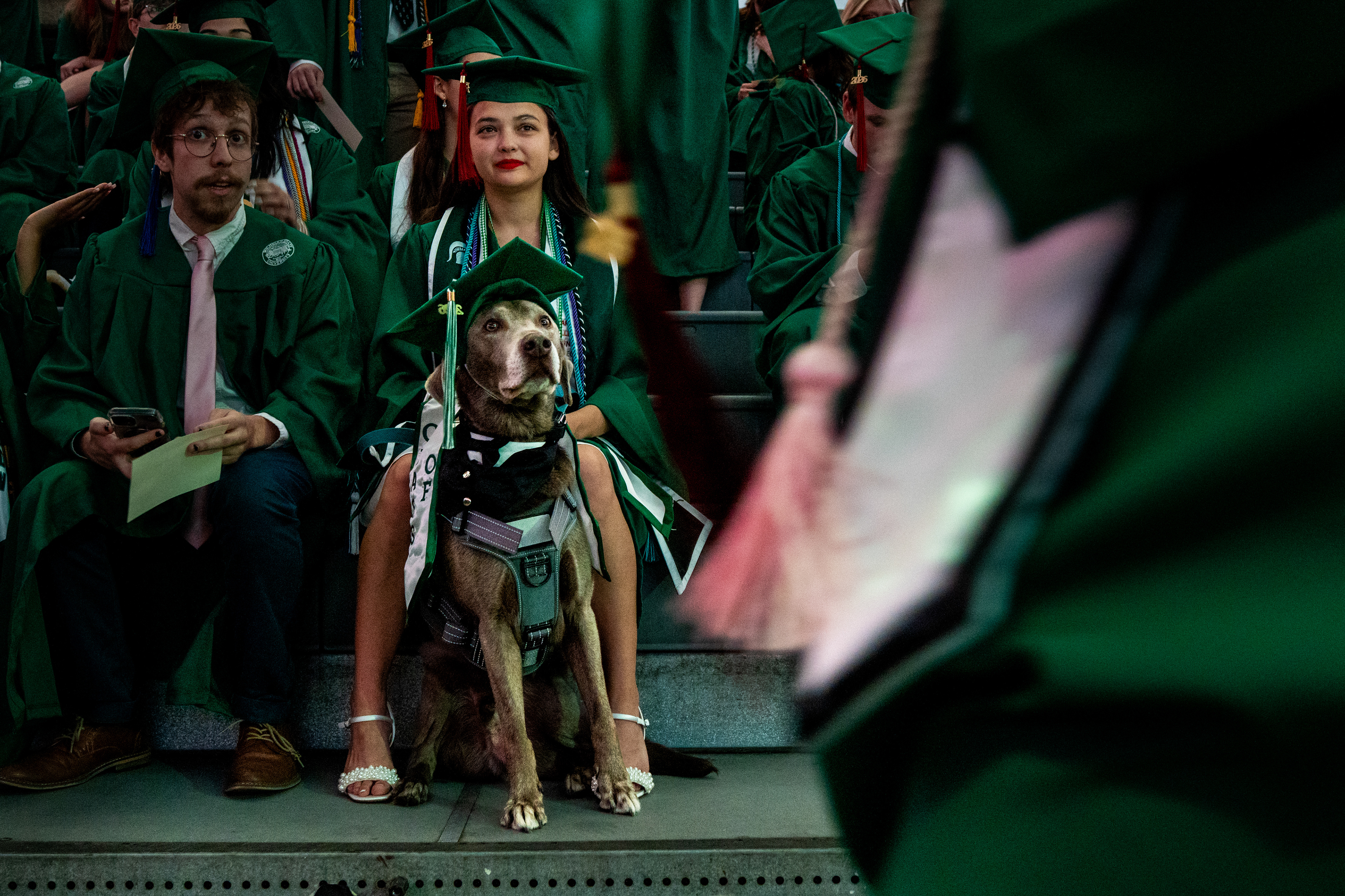Ahleigh Clara Kumiko Weiszbrod and her dog, Mochi, center, watch the Michigan State University College of Communication Arts and Sciences graduation ceremony at the Breslin Student Events Center on Michigan State University’s campus in East Lansing, Mich., on Friday, May 1, 2026.