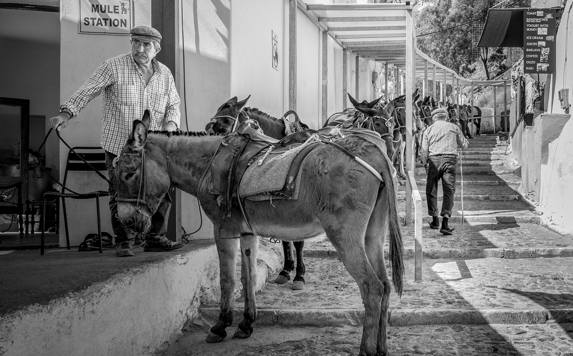 Santorini, Greece-Mule Station