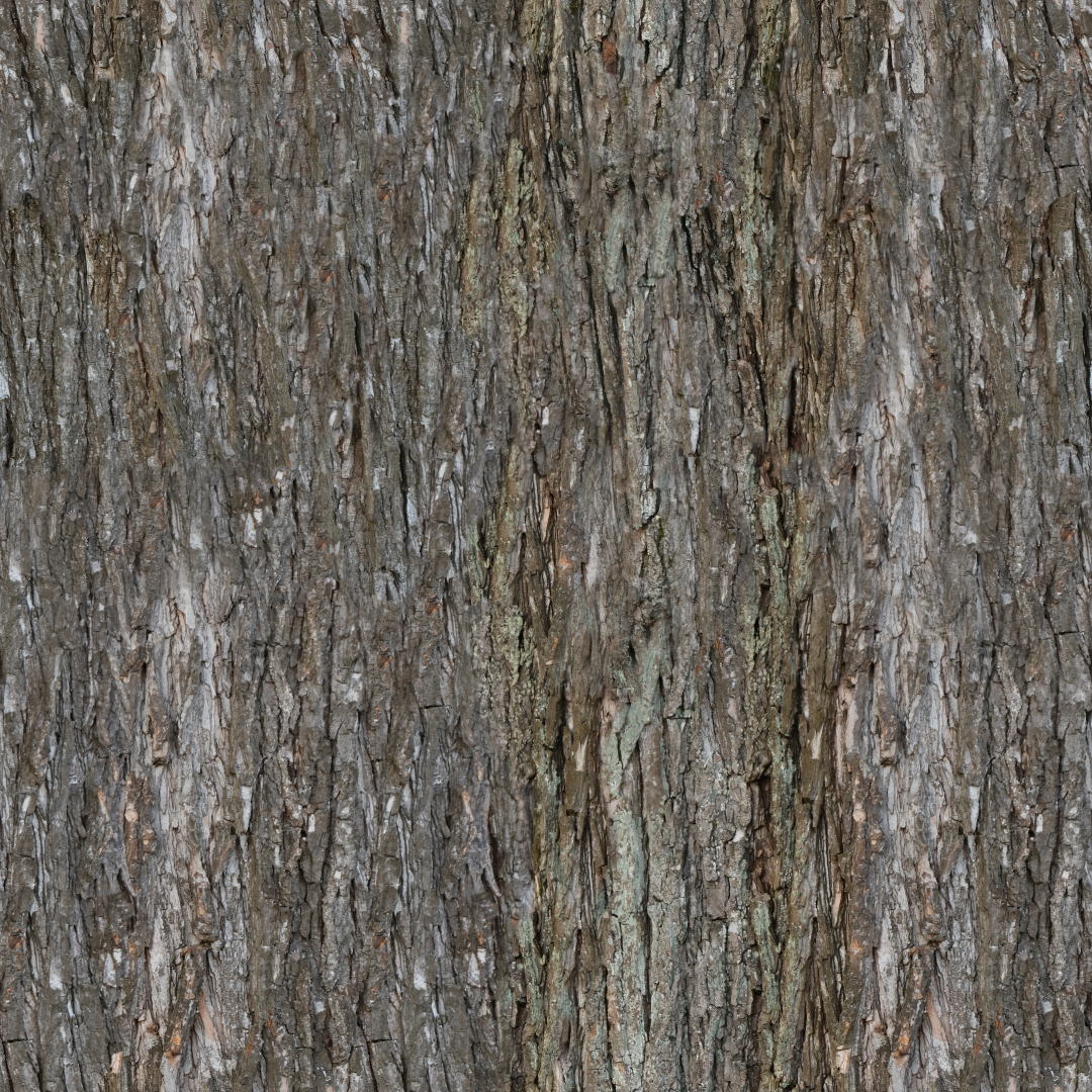 Bark
