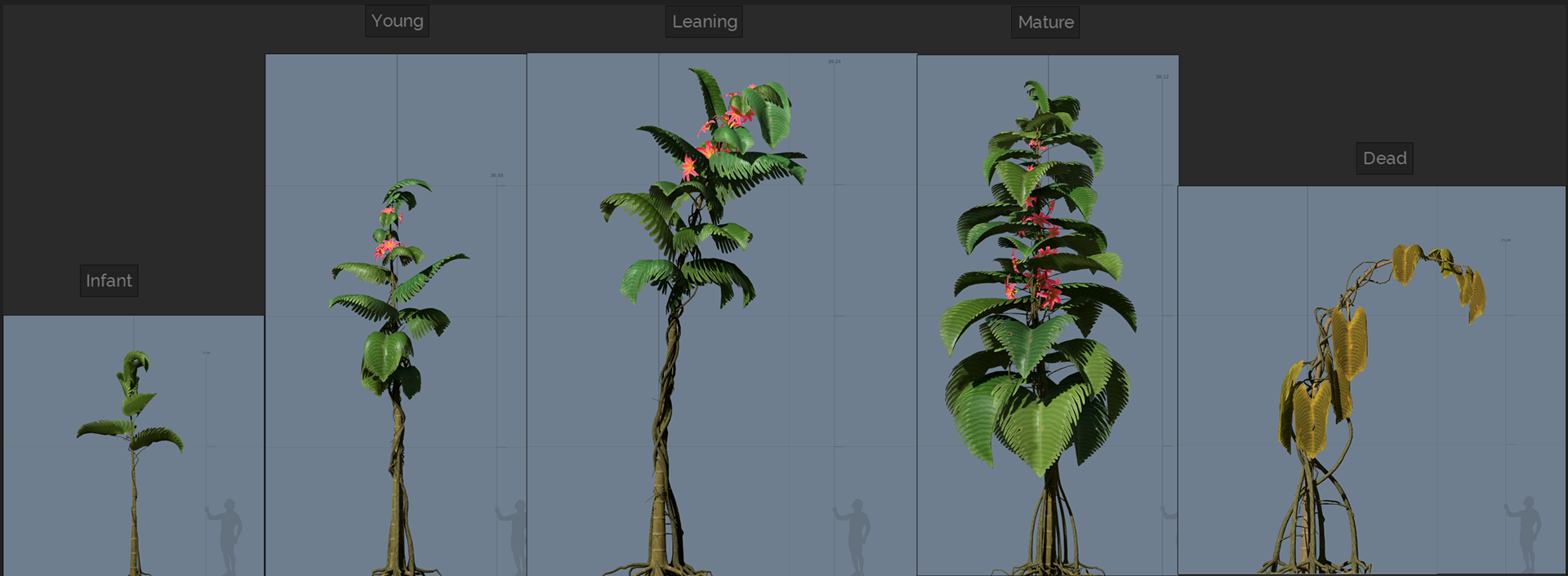 Lily palm variations