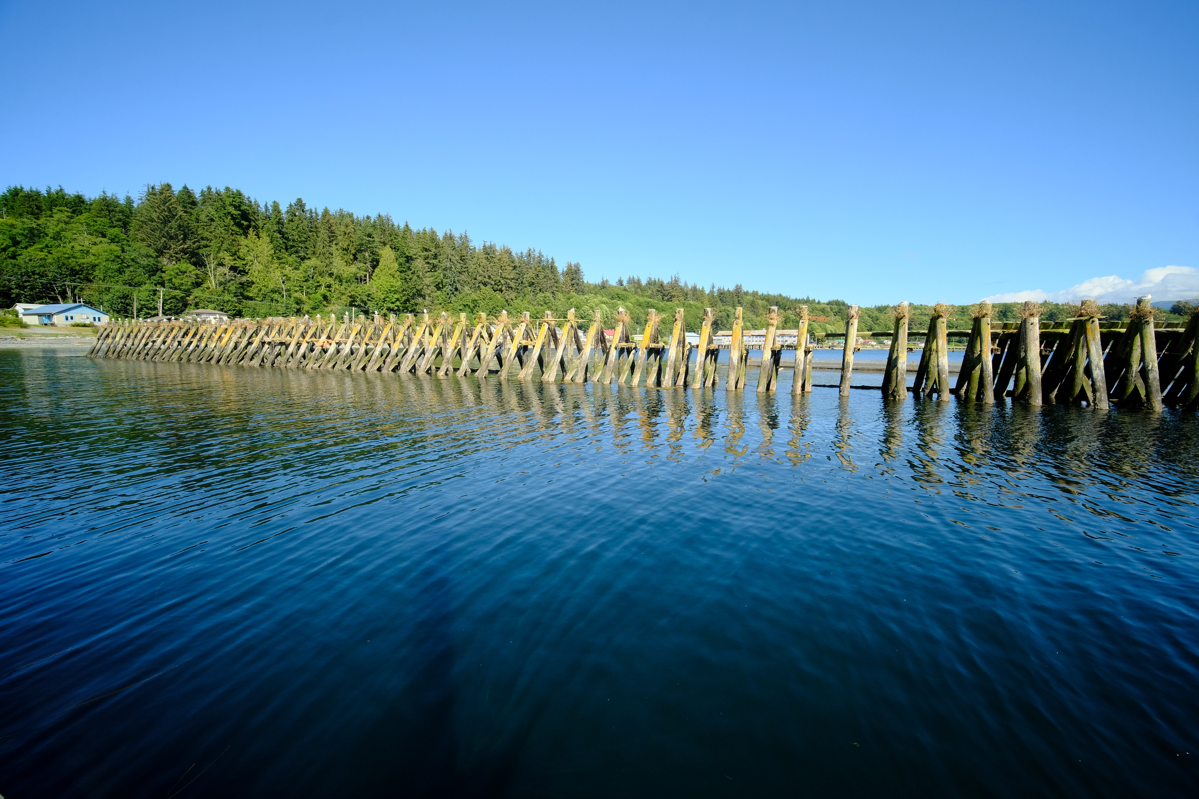 Alert Bay wave break
