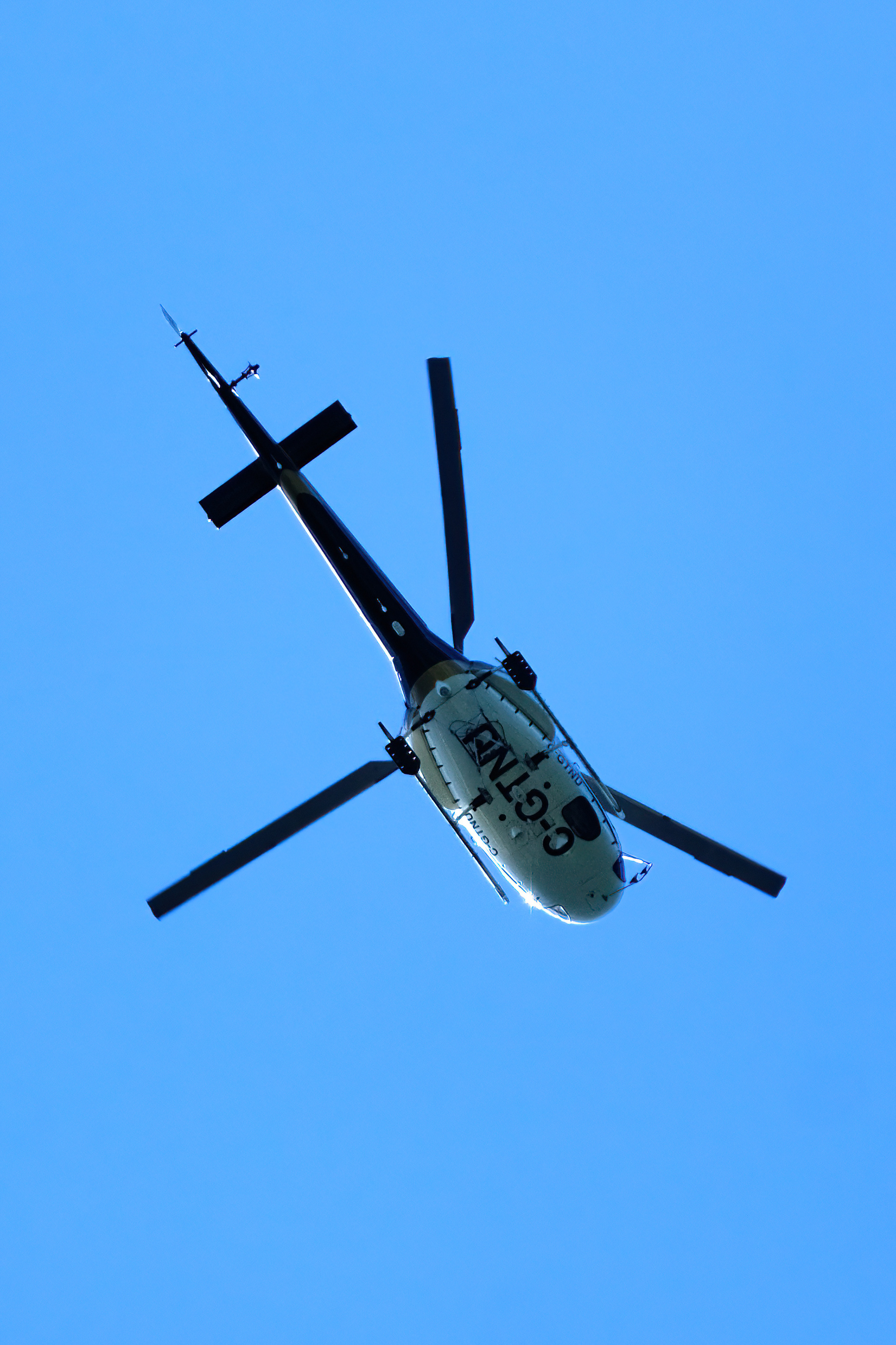Helicopter over Alert Bay