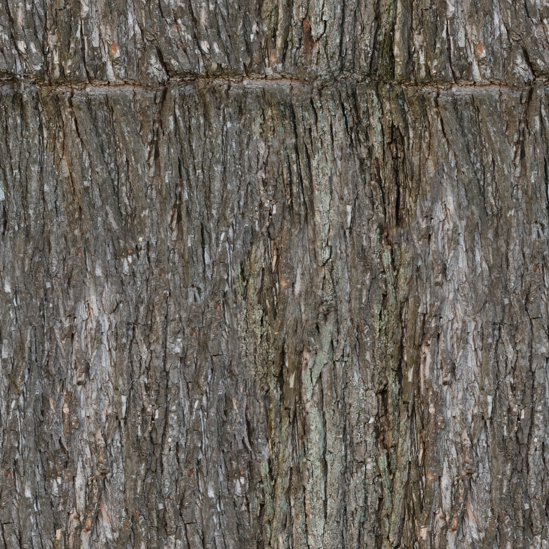 Bark With Line
