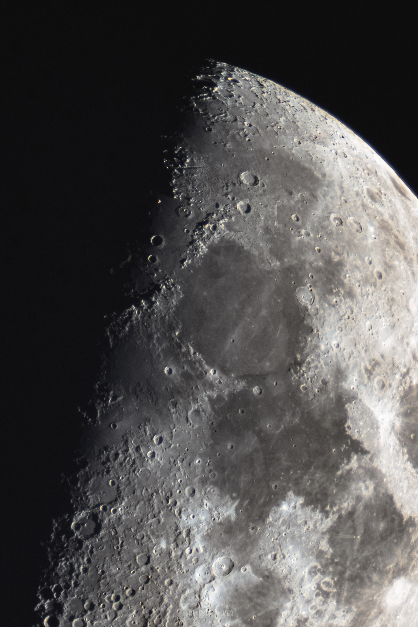 Cropped to show detail